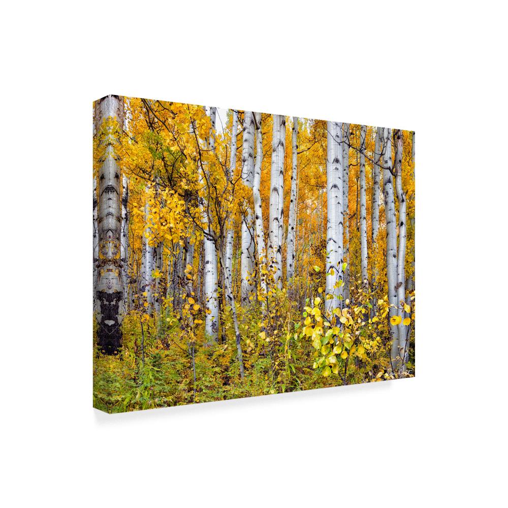 Trademark Fine Art Framed 24-in H x 32-in W Landscape Print on Canvas ...