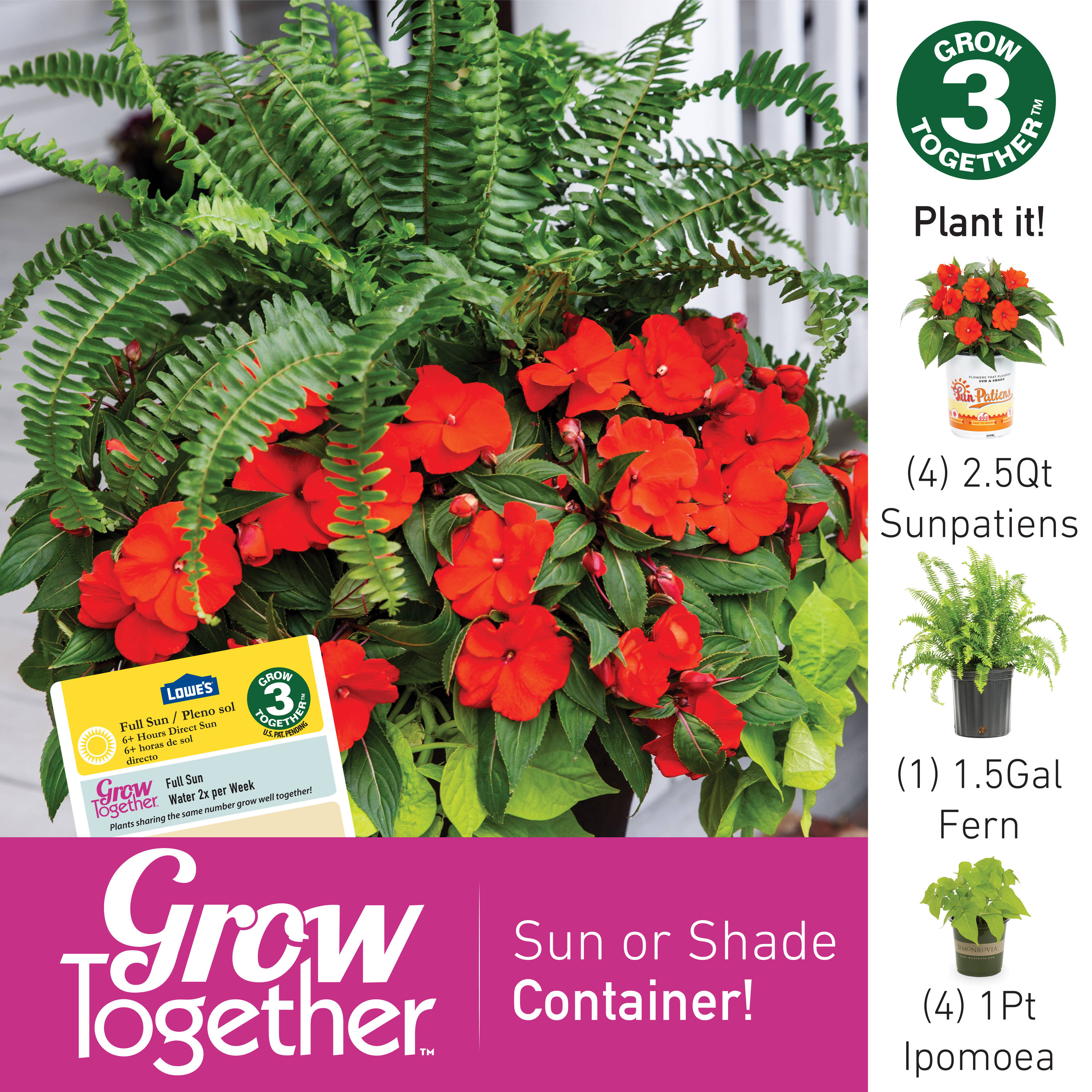 Lowe's 206616 annuals - View #16