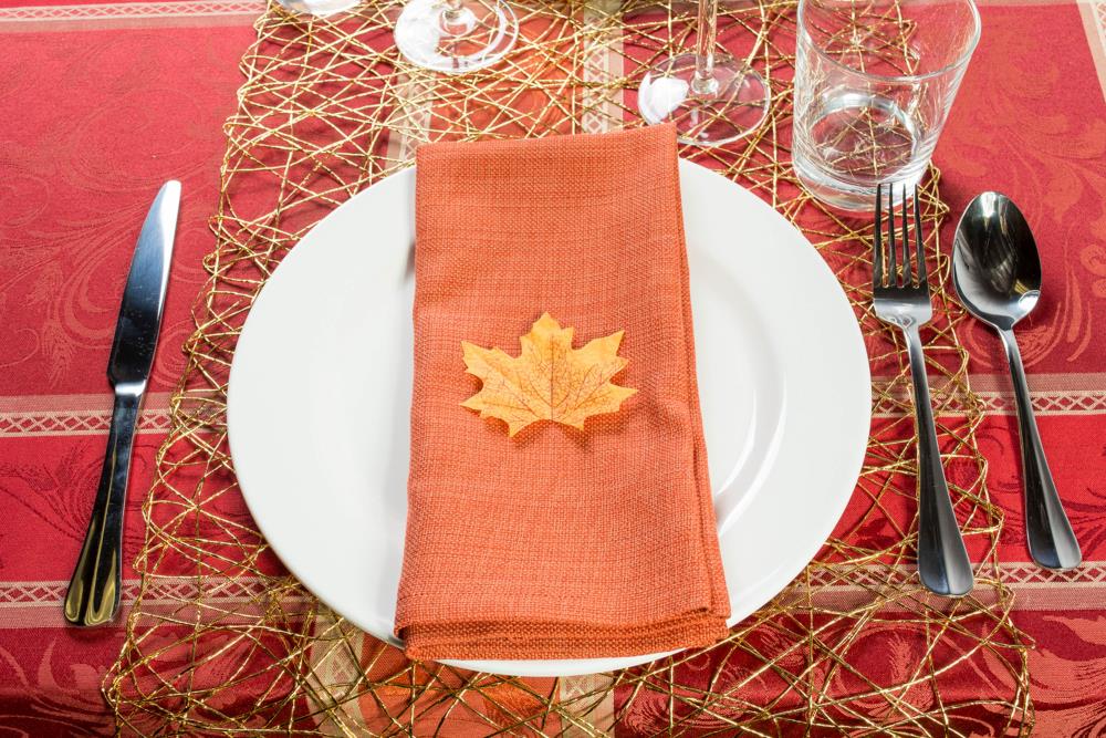 DII CAMZ34370 napkins - View #5