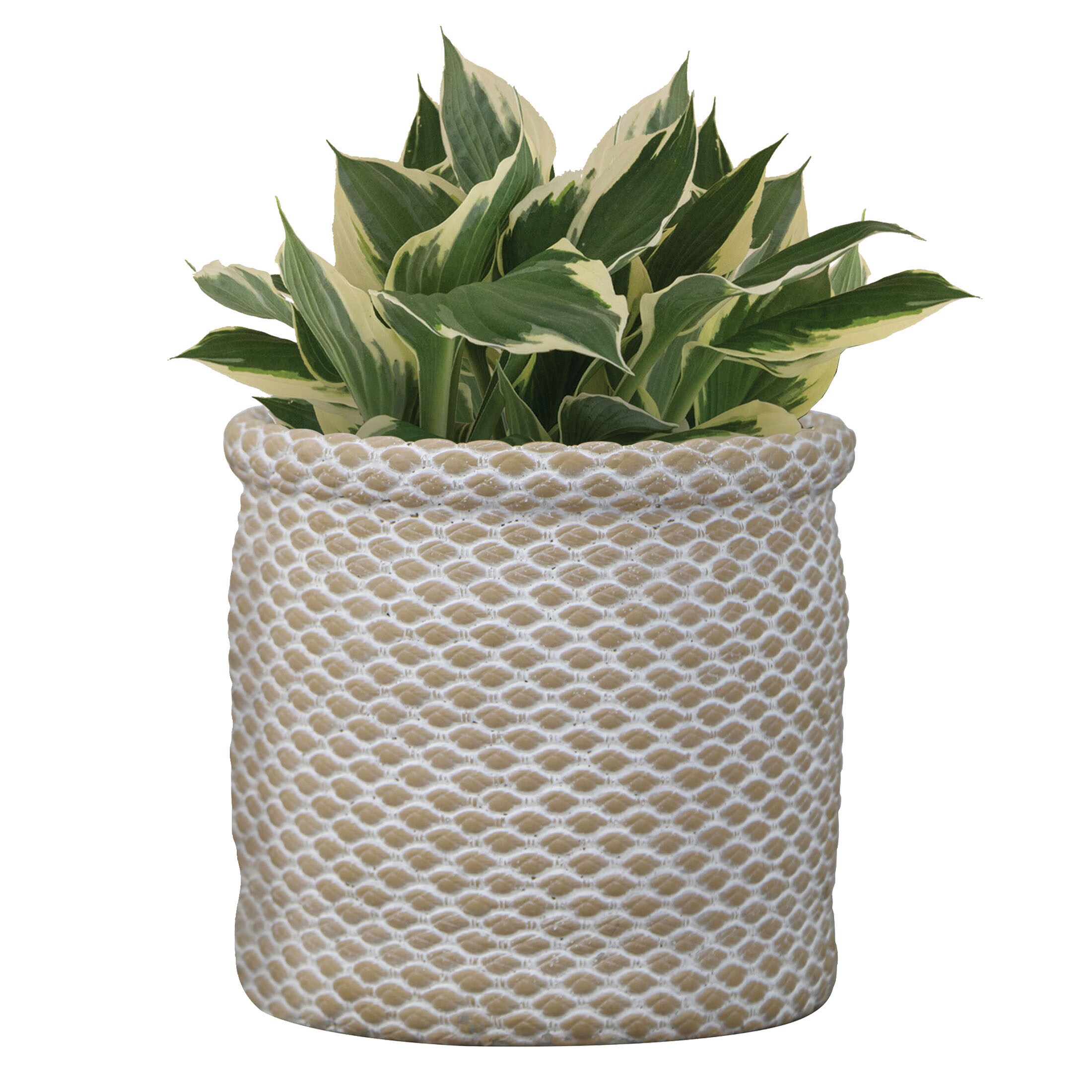 allen + roth CM10167N-08H2 Planter-Window-Box - View #3