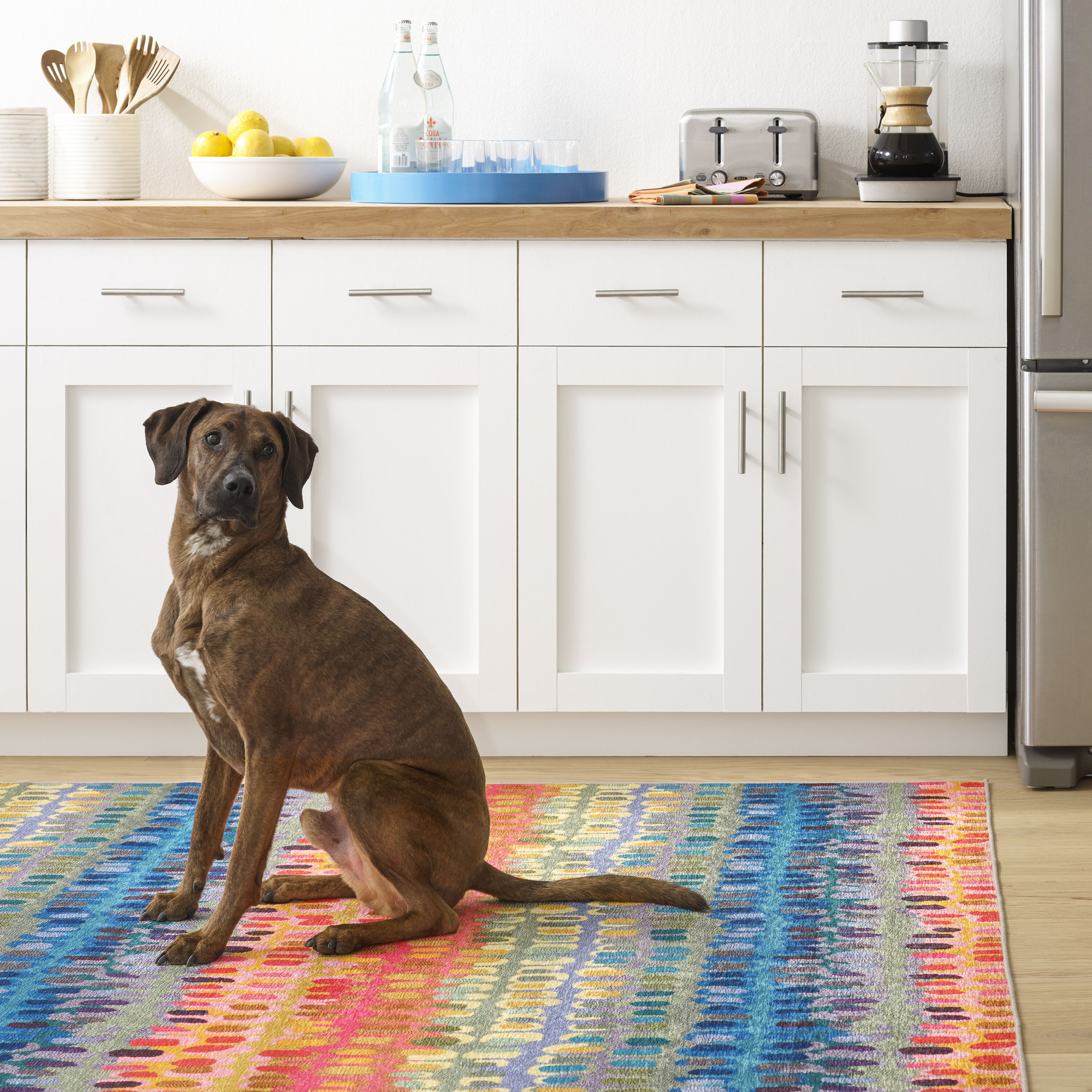DASH & ALBERT DA2048-810 rugs - View #3