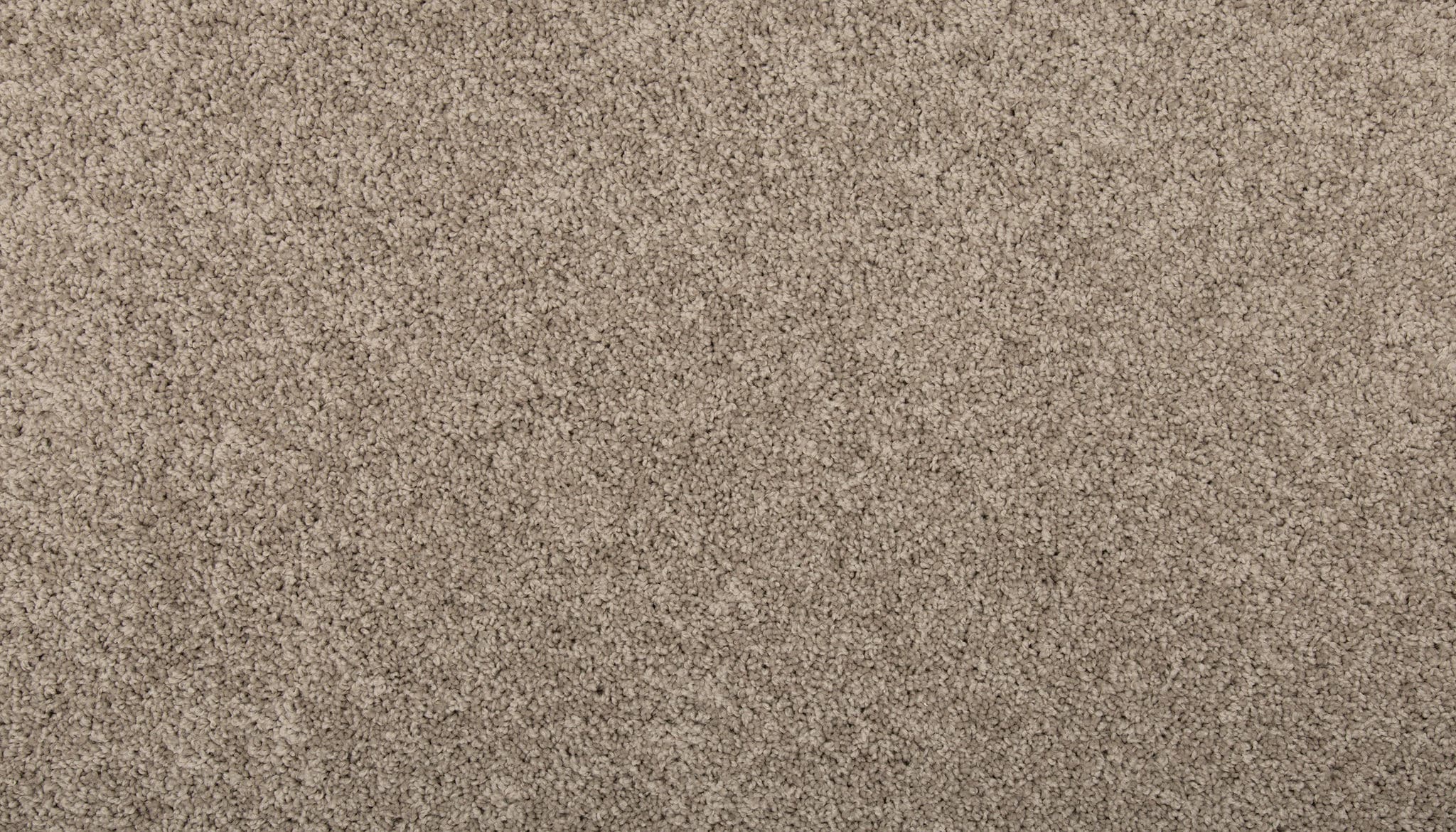 STAINMASTER SS011-L007-0808 (Sample) Memorable Touch I Pier Brown 35-oz sq yard Solution-dyed Polyester Textured Indoor Carpet
