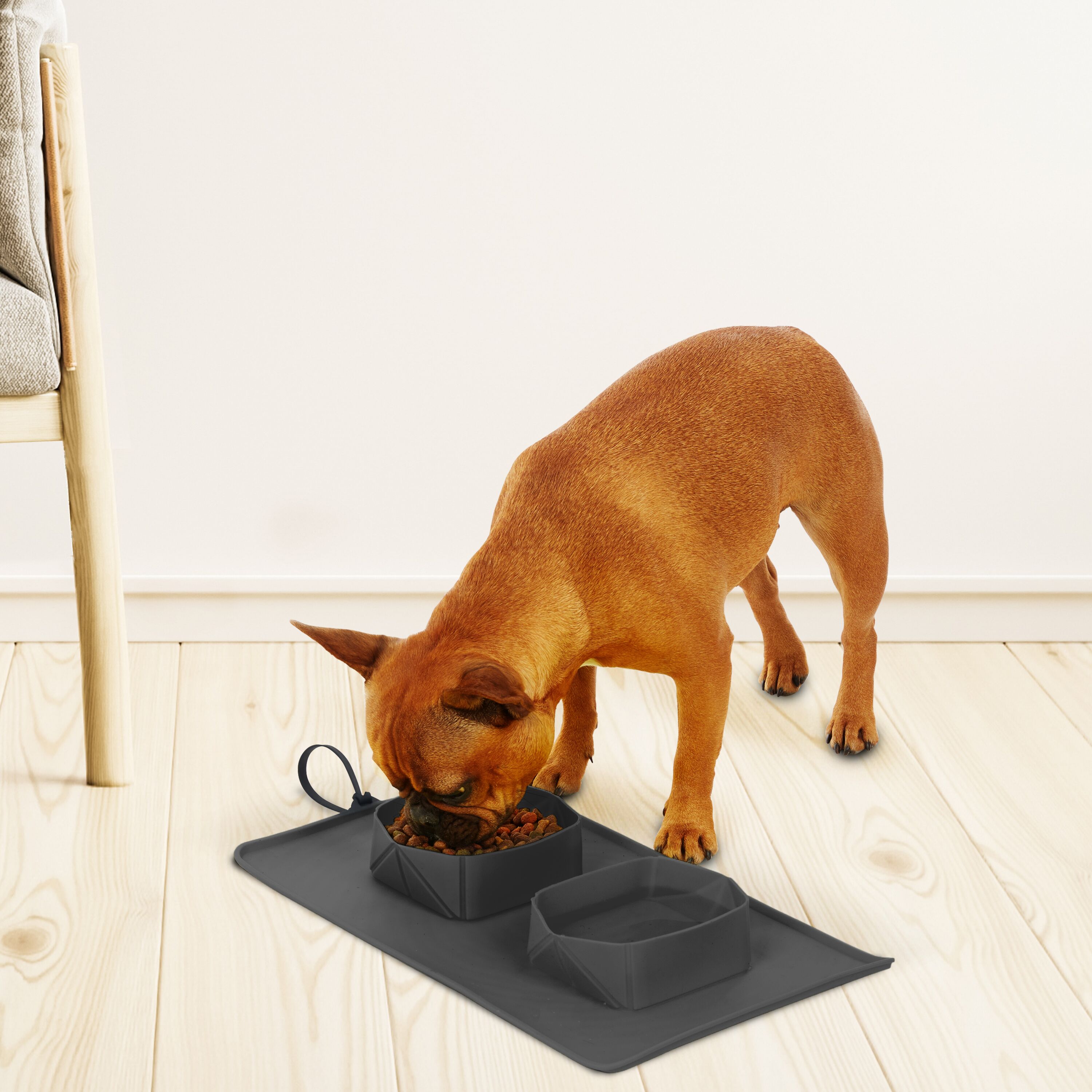BLACK+DECKER BD0223-BLK Pet-Bowls - View #3