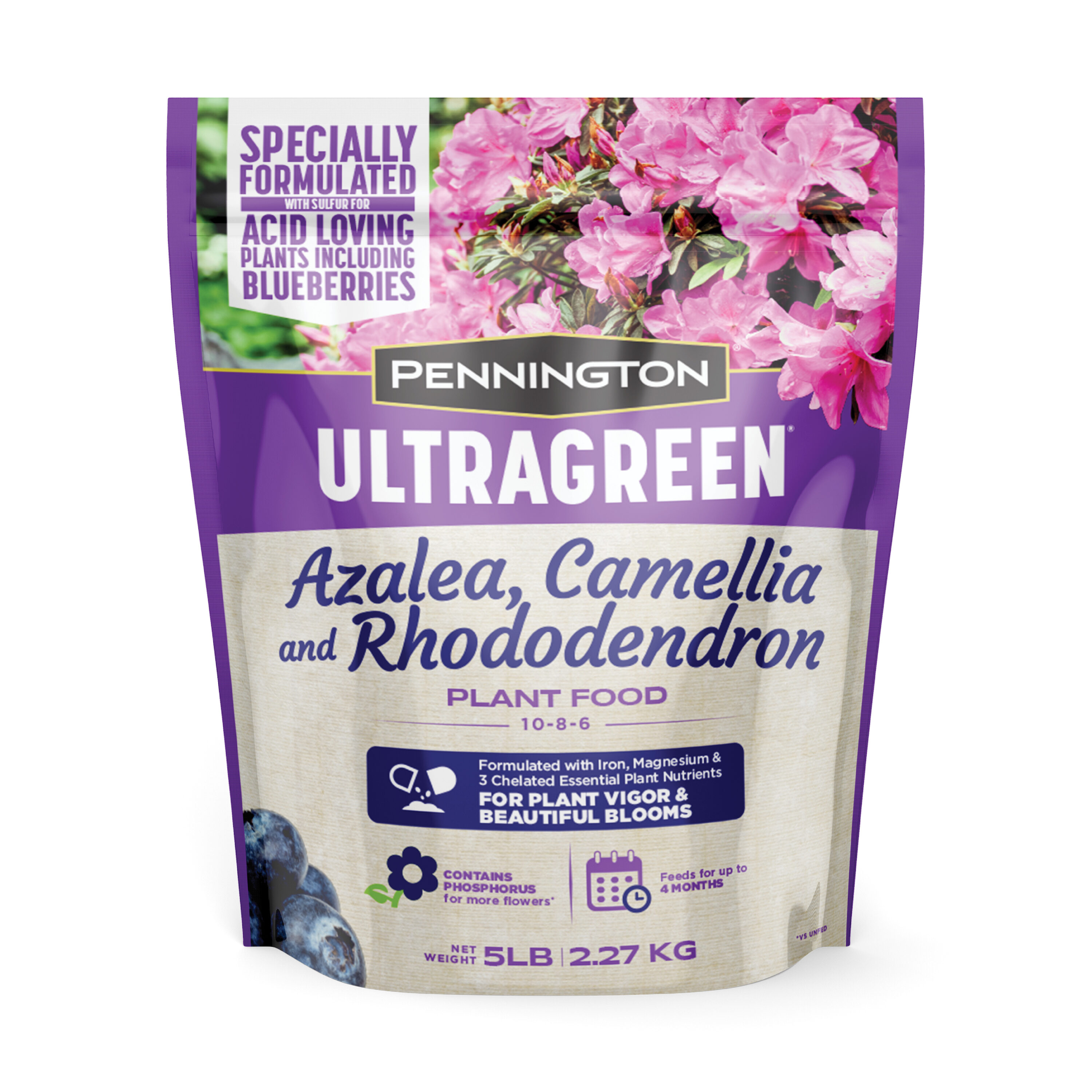 Pennington UltraGreen Azalea, Camellia and Rhododendron 5-lb Shrub Food at  