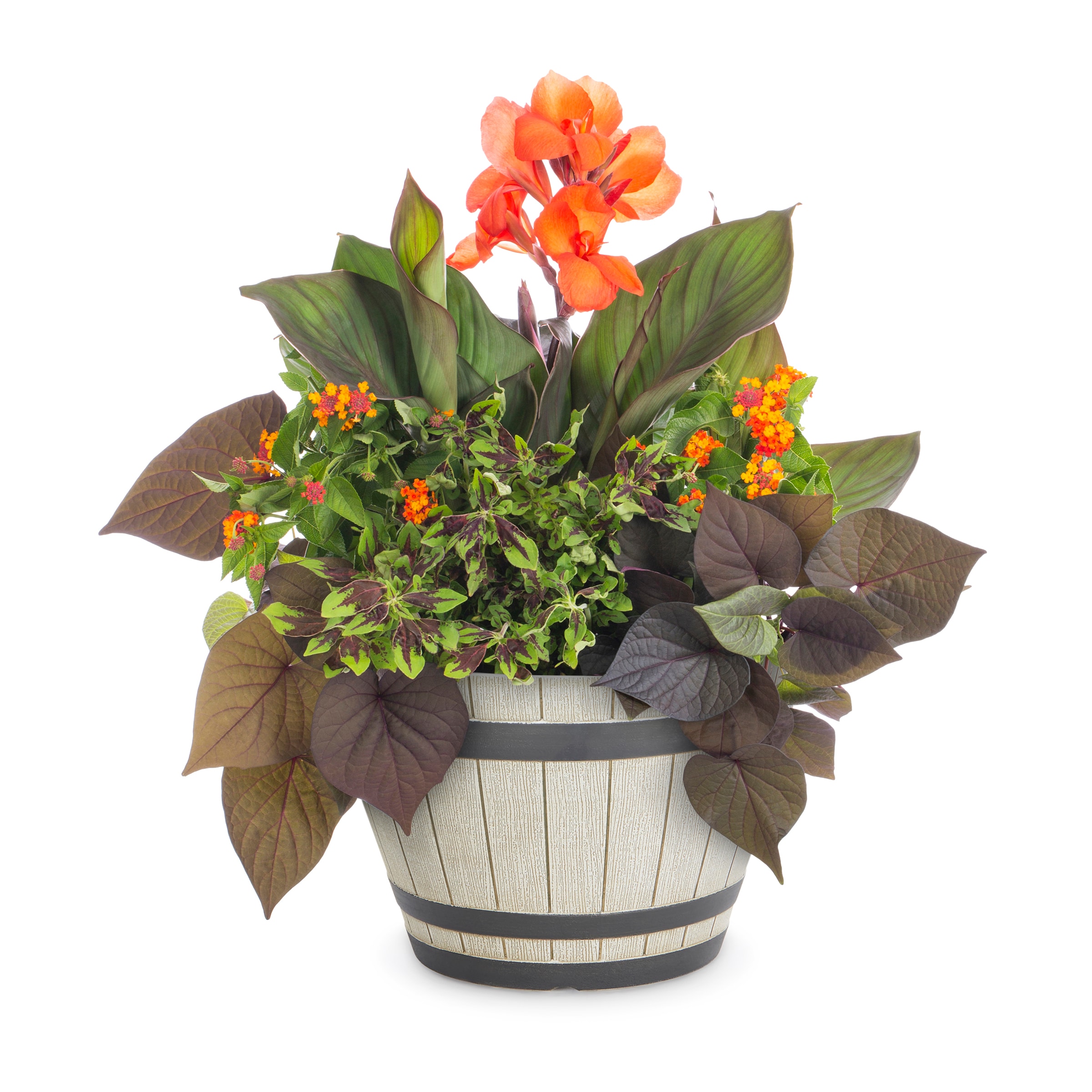 Lowe's NURSERY Multicolor Mixed Annuals Combo in 2.5 Gallon(s) Planter 1 -Pack