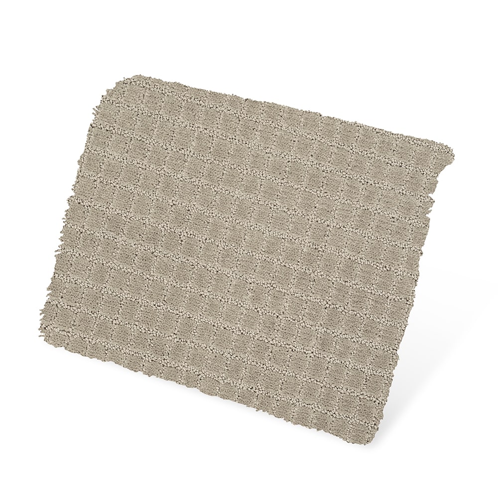Style Selections SS032-L008-0808 Carpet-Samples - View #3