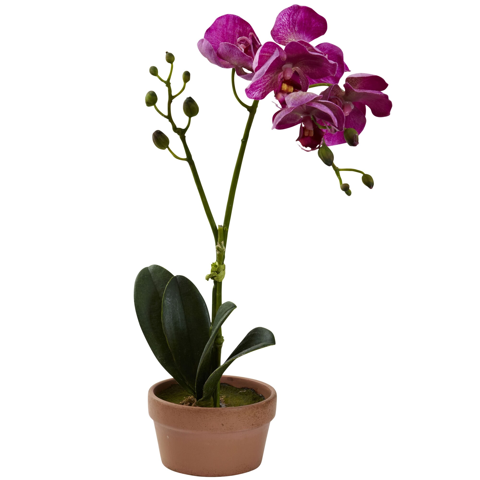 Nearly Natural 4991-S4 Artificial-Plants-Trees - View #5