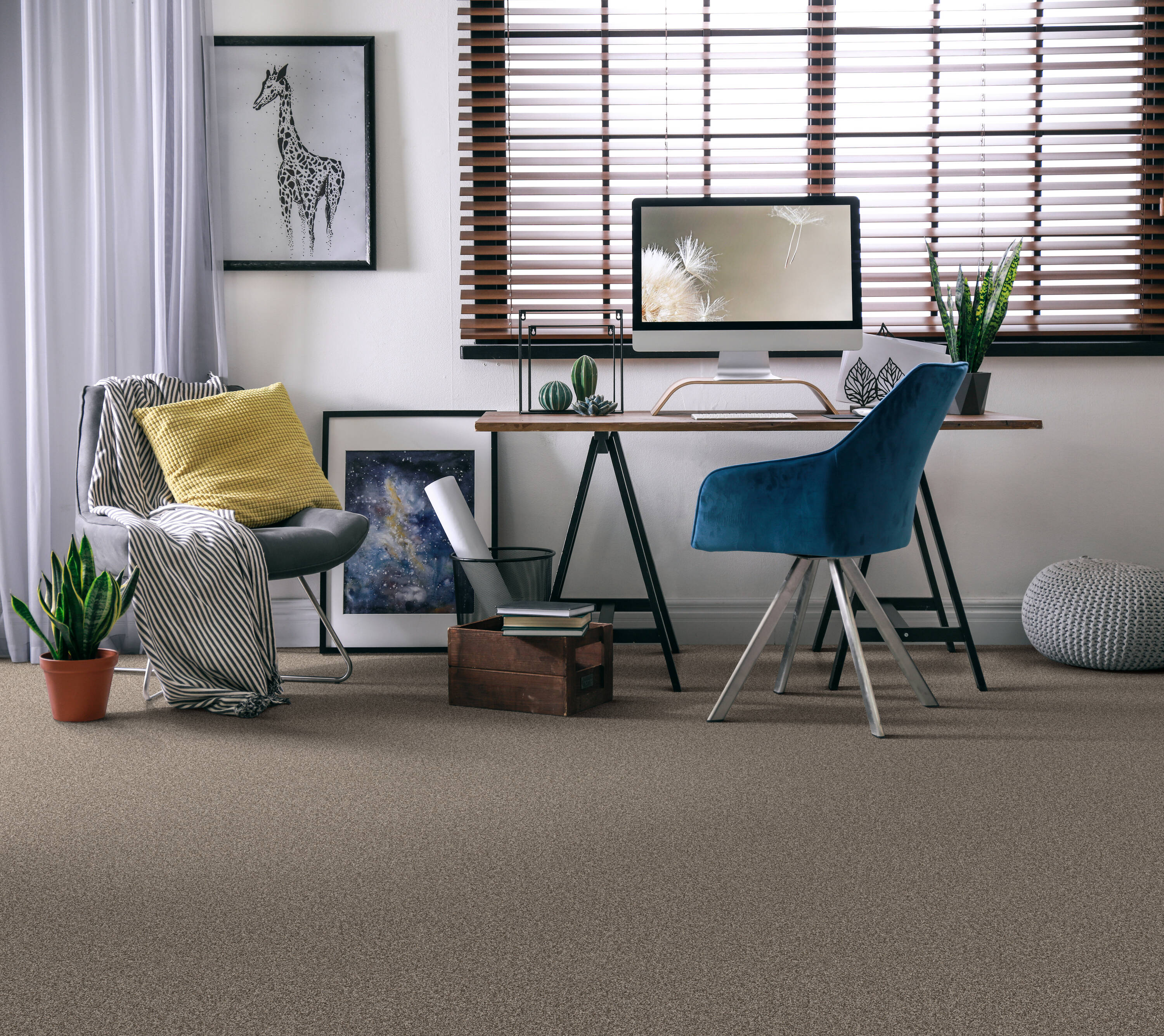 STAINMASTER PetProtect 7L859 - 536 - SAMP Carpet-Samples - View #3
