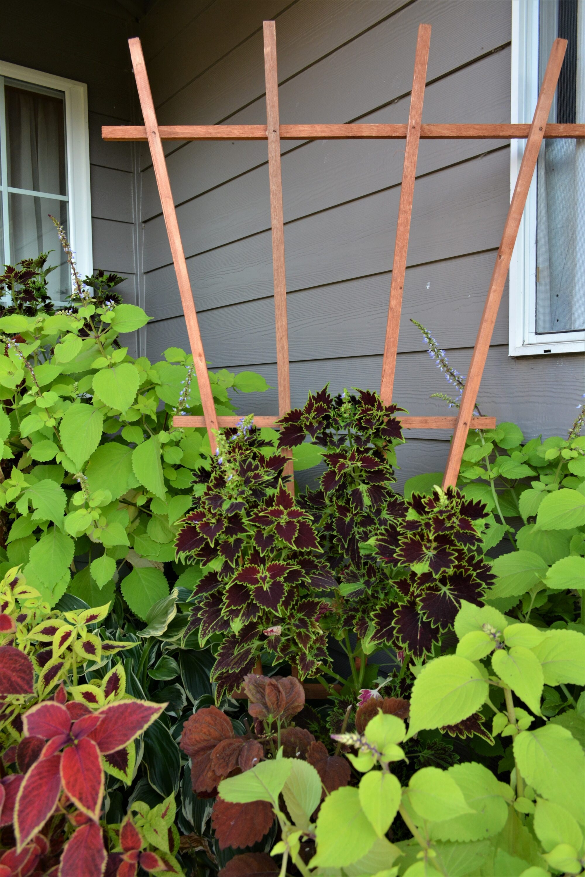 Garden Architecture 8621413 Garden-Trellis - View #7