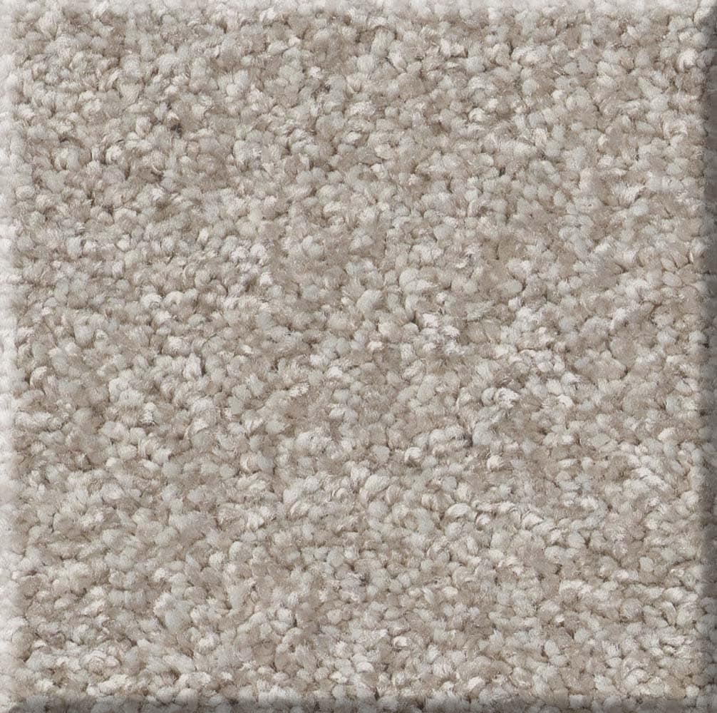 STAINMASTER 7L868 - 115 - SAMP (Sample) Effortless Appeal II Sculpture Brown 58.5-oz sq yard Polyester Textured Indoor Carpet