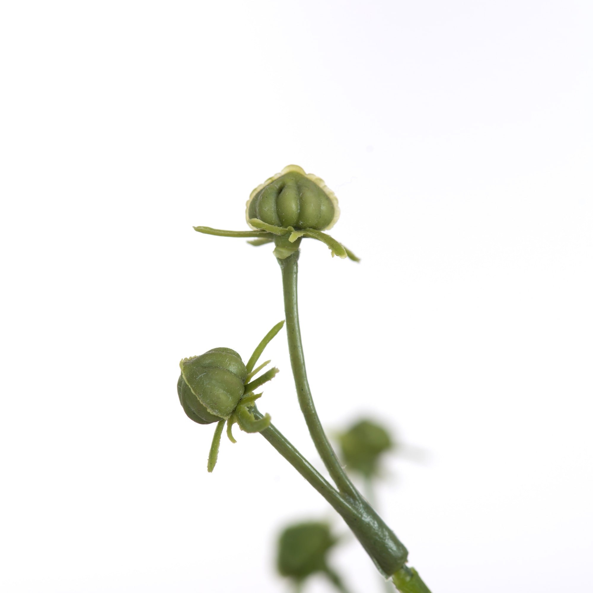 Vickerman FA190211 Artificial-Plants-Trees - View #4