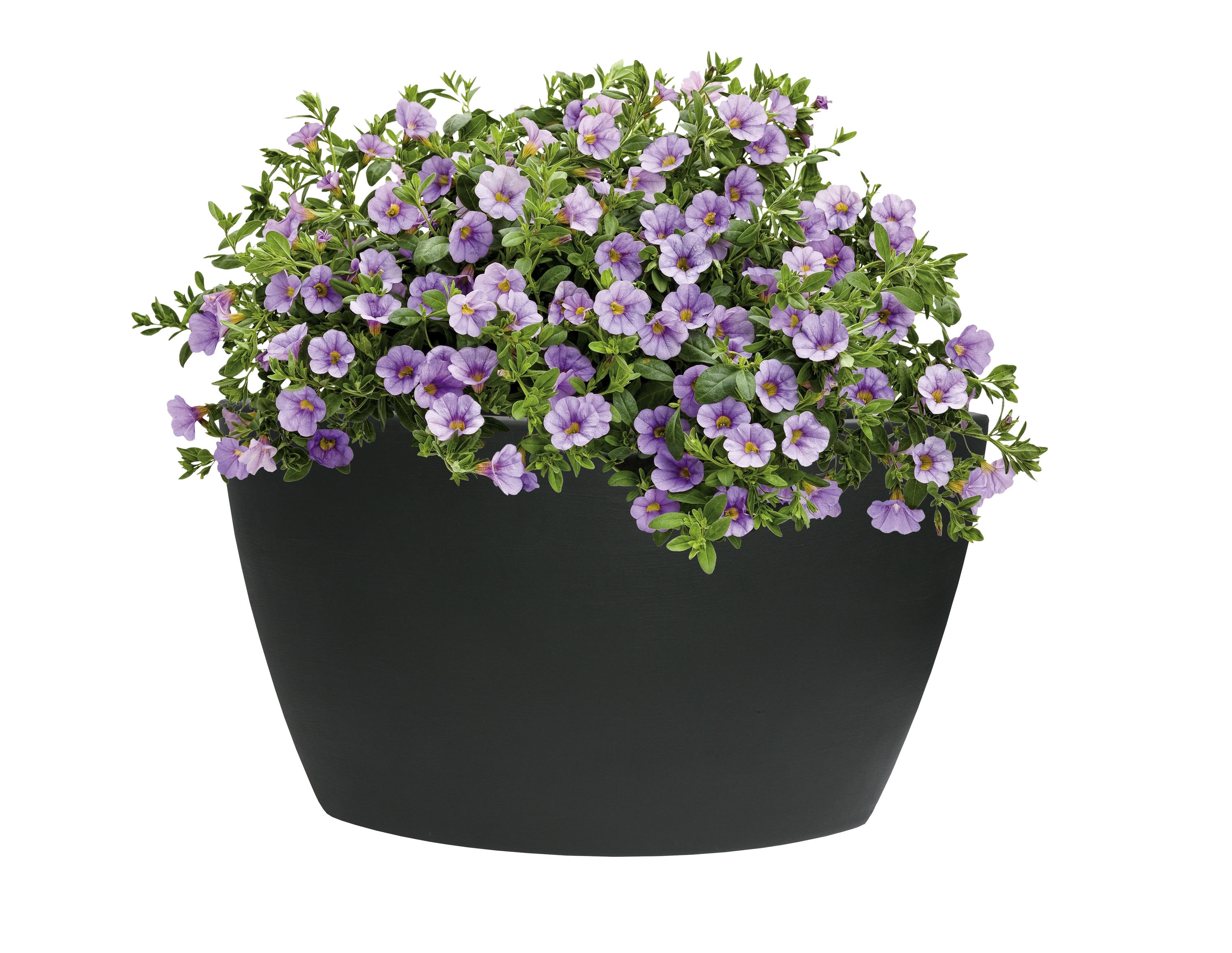 Algreen Products 30202 20.0-in W Large Black Plastic Indoor/Outdoor Planter with Drainage Holes