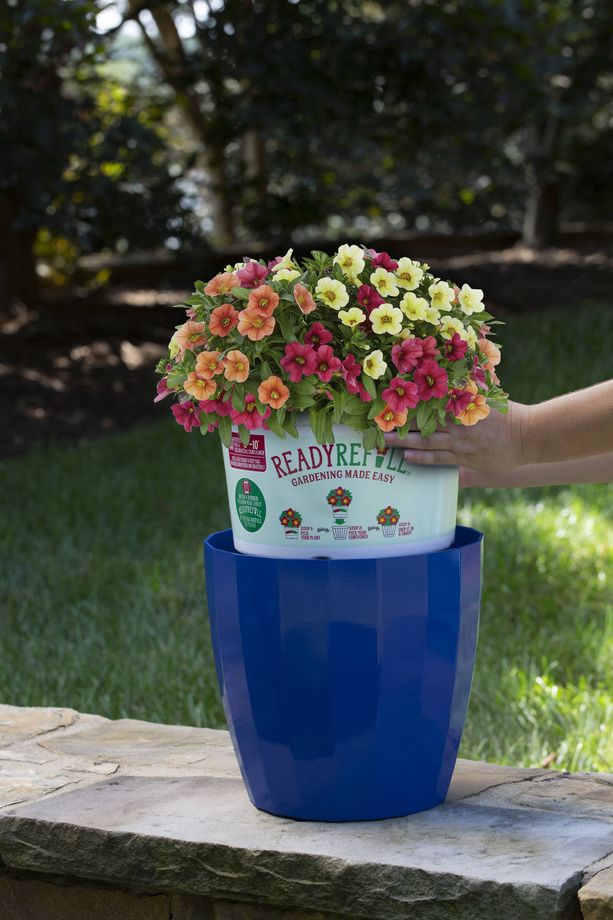 Ready Refill NURSERY annuals - View #8