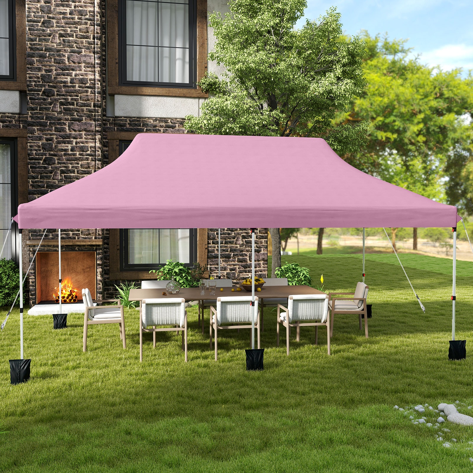 Ayelon CV06062PI Canopies-Sl - View #4