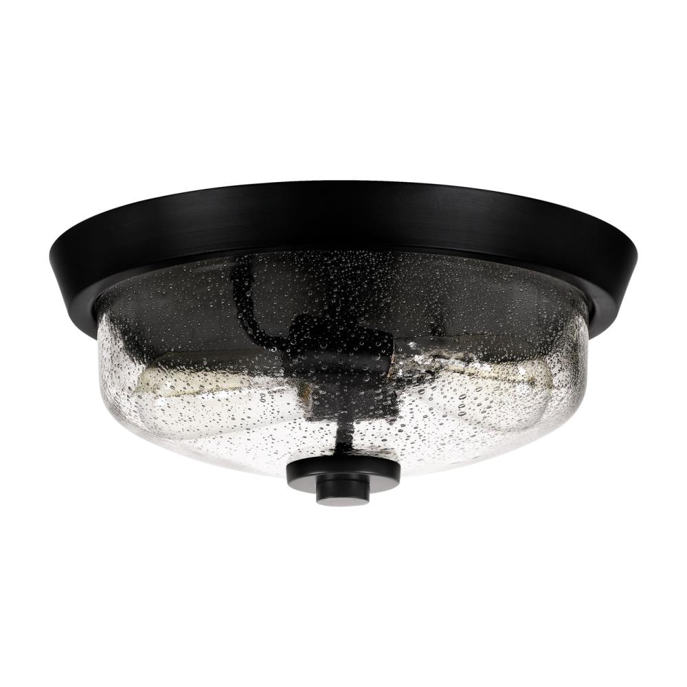 Radius Black Glass 2-Light Indoor/Outdoor Flush Mount Ceiling Light