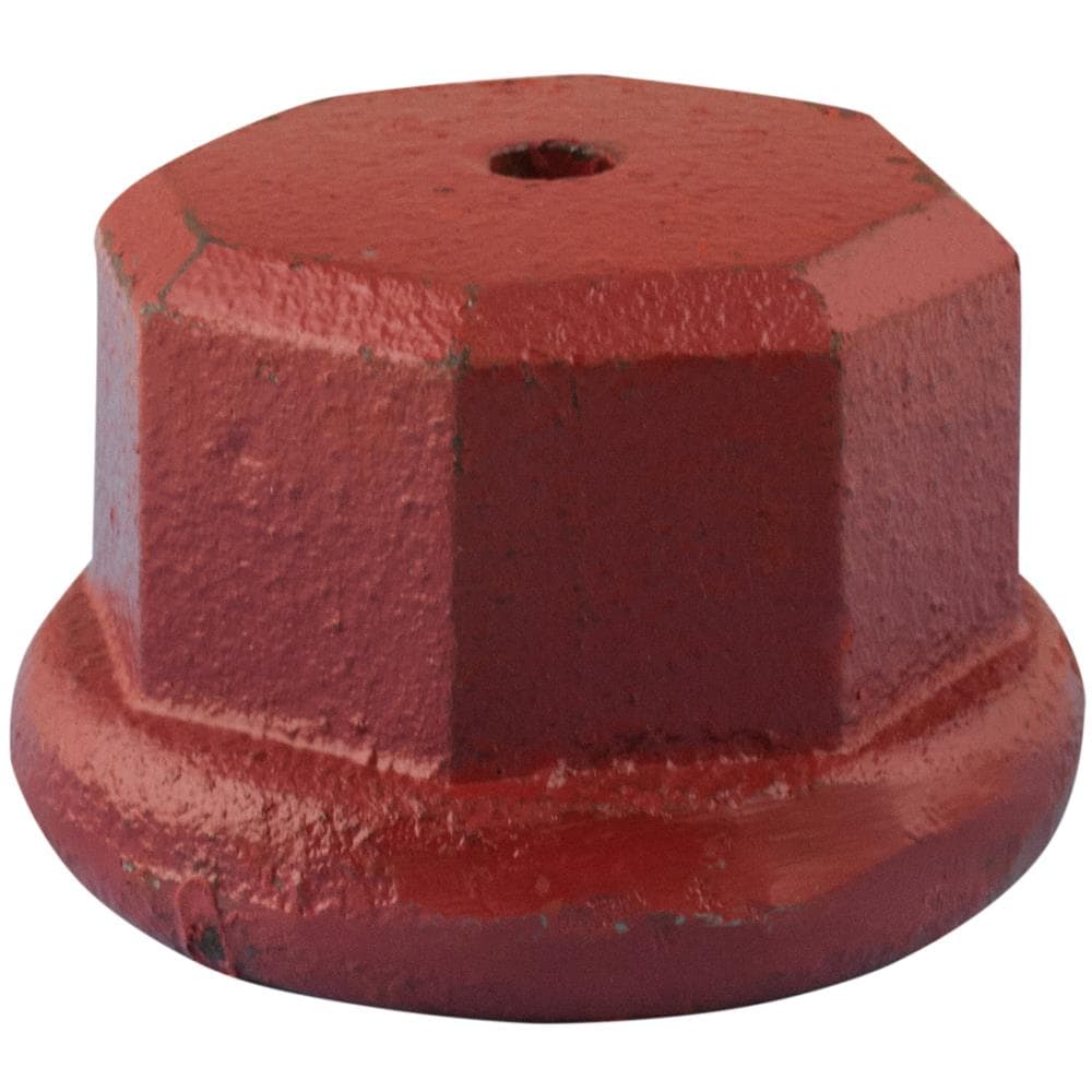 H2OPRO 148124 2-in Cast iron Cap