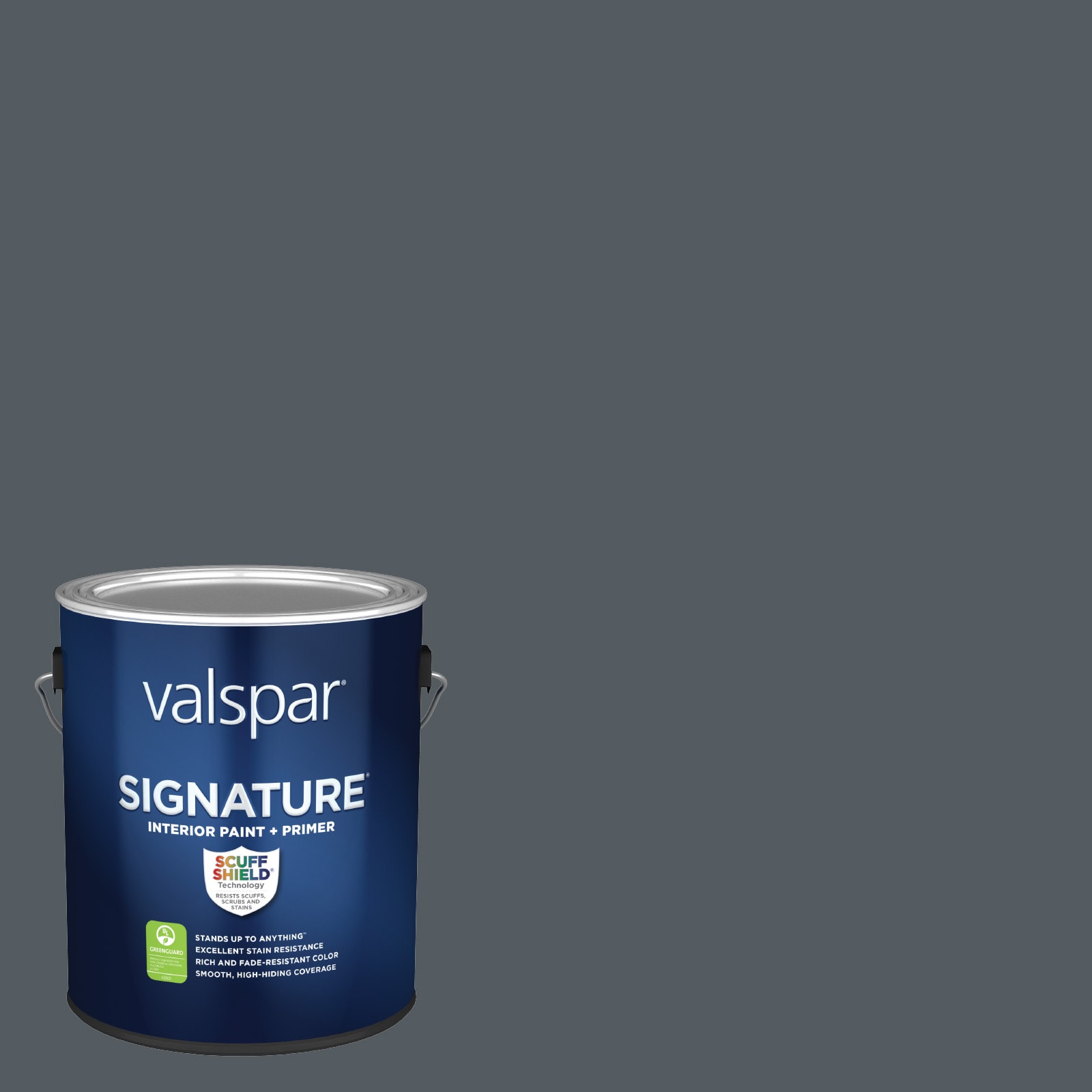 Valspar Signature Flat Volcanic Ash 4009-1 Latex Interior Paint +