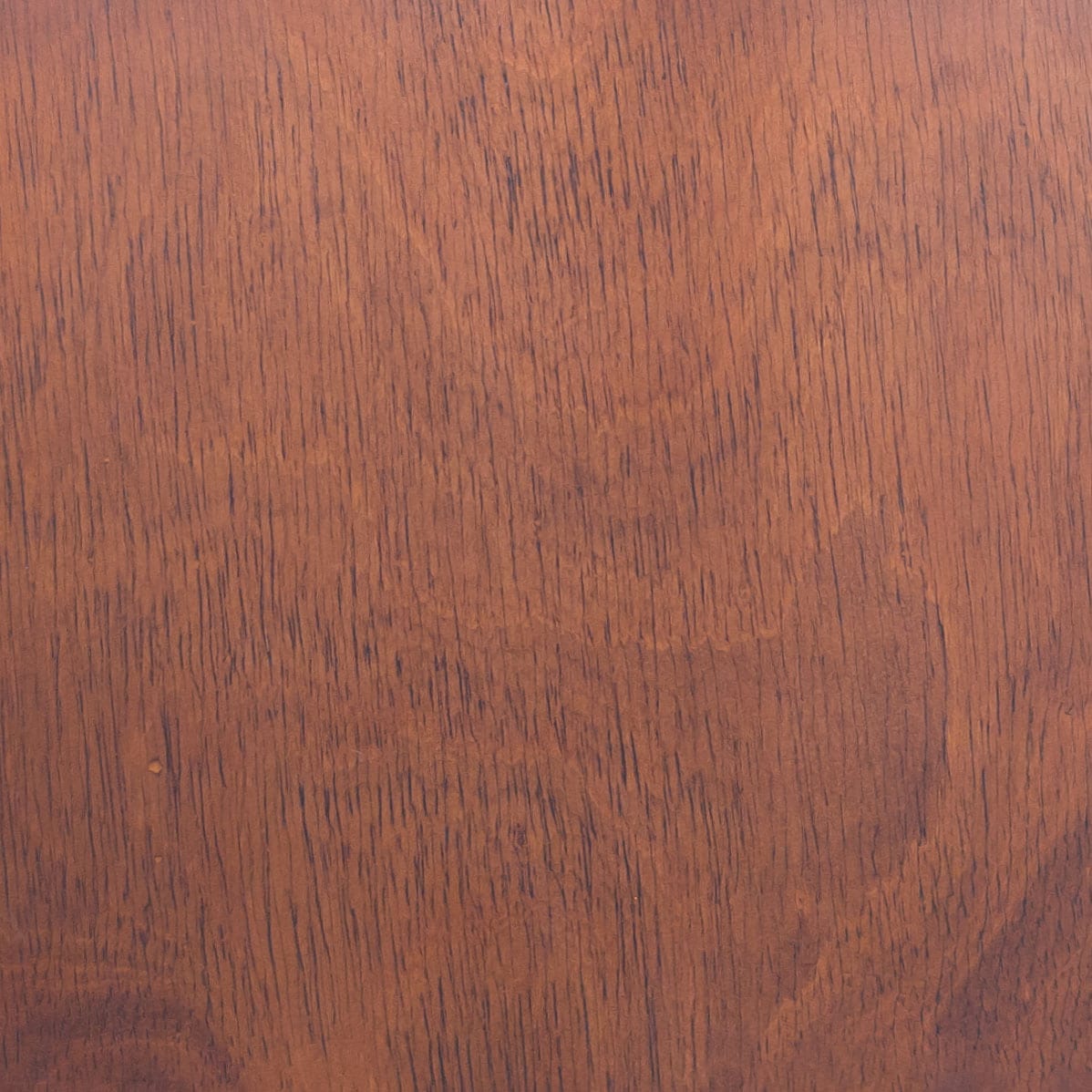 Zuo Modern 109213 Dining-Chairs - View #8