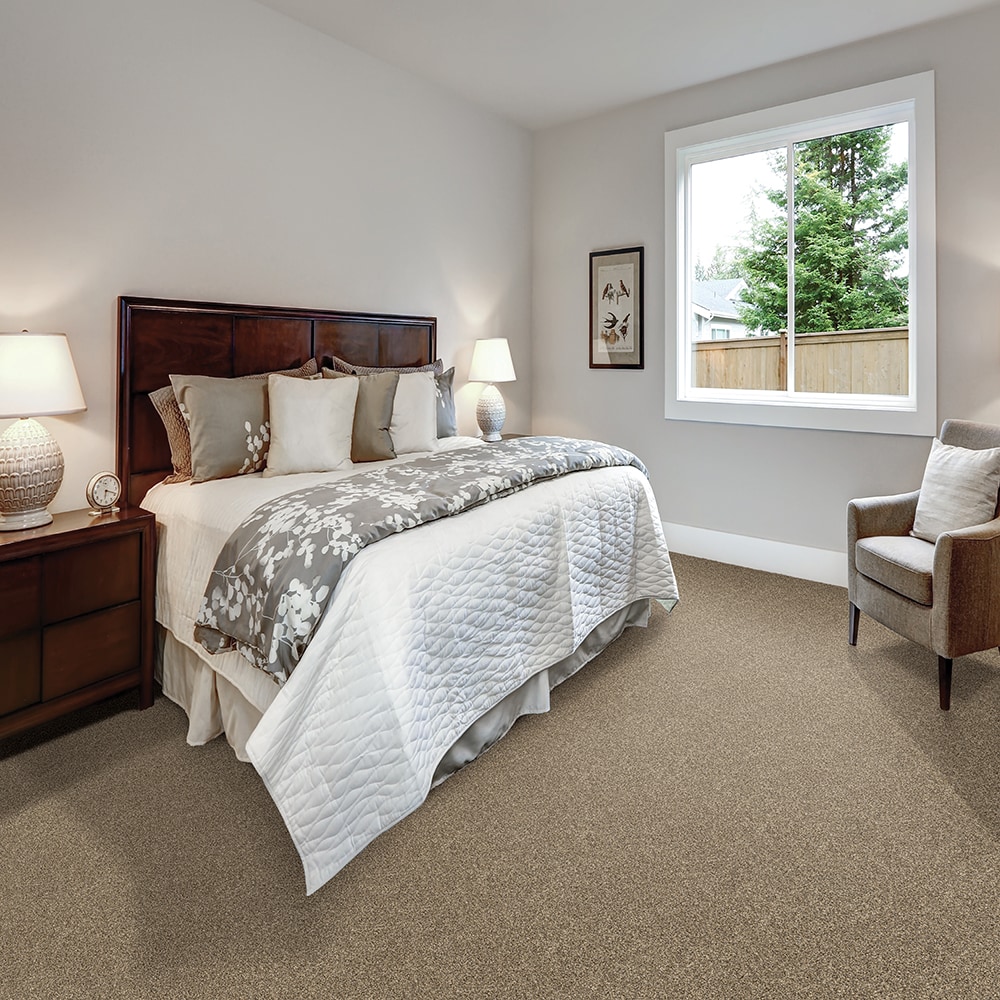 STAINMASTER SS040-L009-S0808 Carpet-Samples - View #2