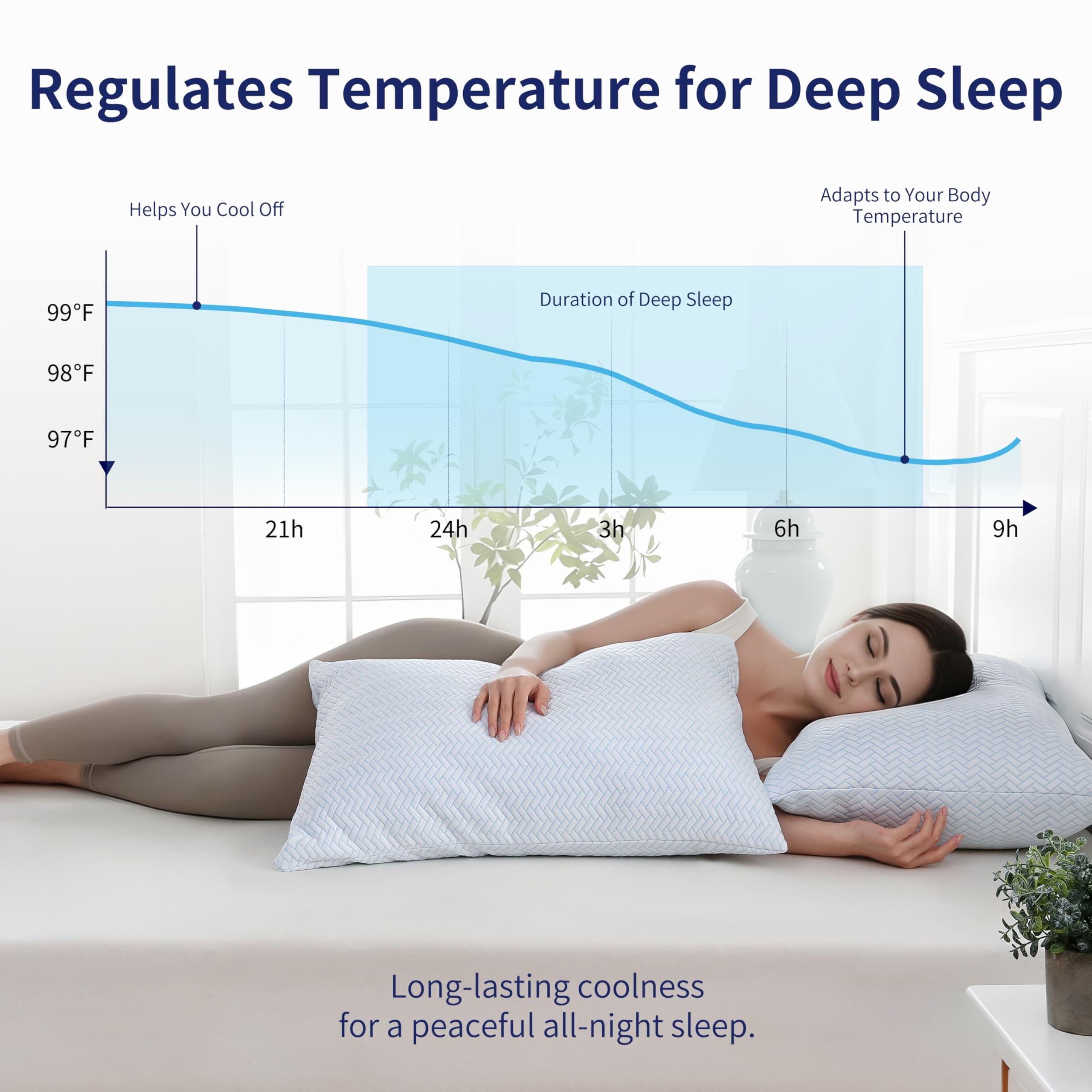 CovertSafe 885287630818 Bed-Pillows - View #4