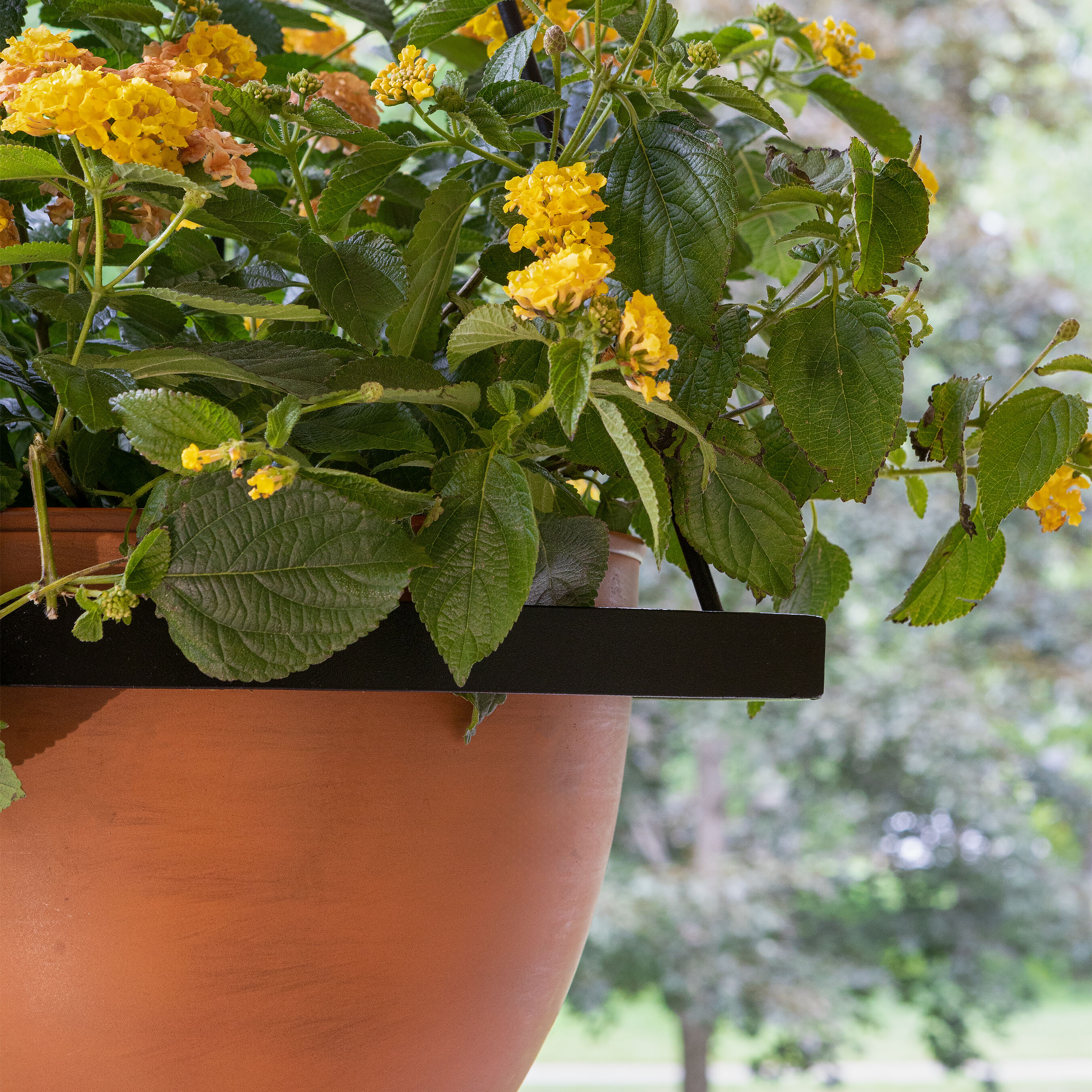 ACHLA Designs 122-0093 Planter-Window-Box - View #4