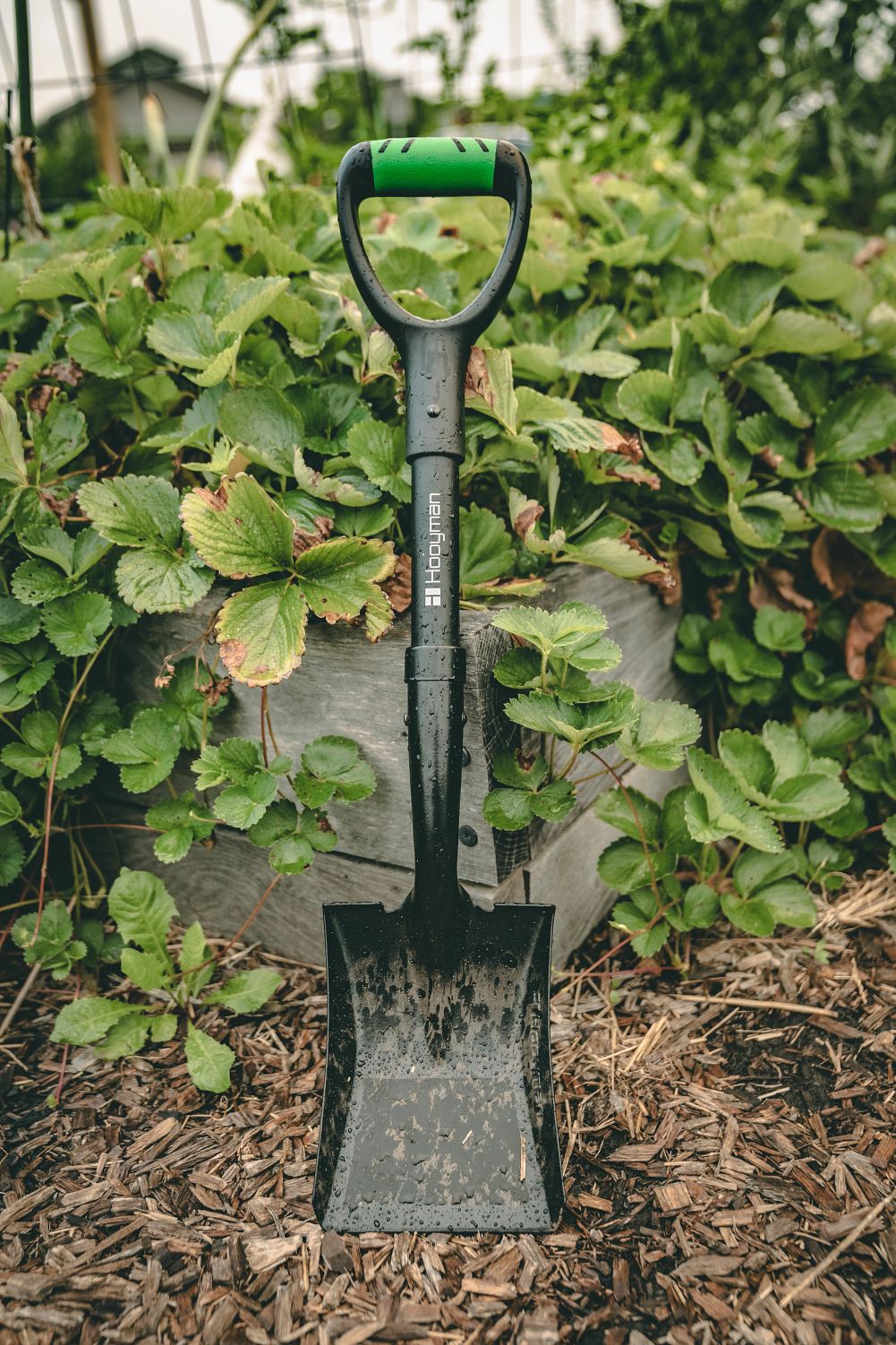 Hooyman 20.2-in Fiberglass D Handle Transfer Shovel 1190381 at Lowes.com