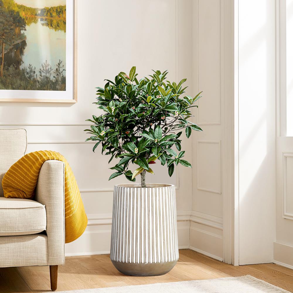 LuxenHome WHPL1965 Planter-Window-Box - View #2