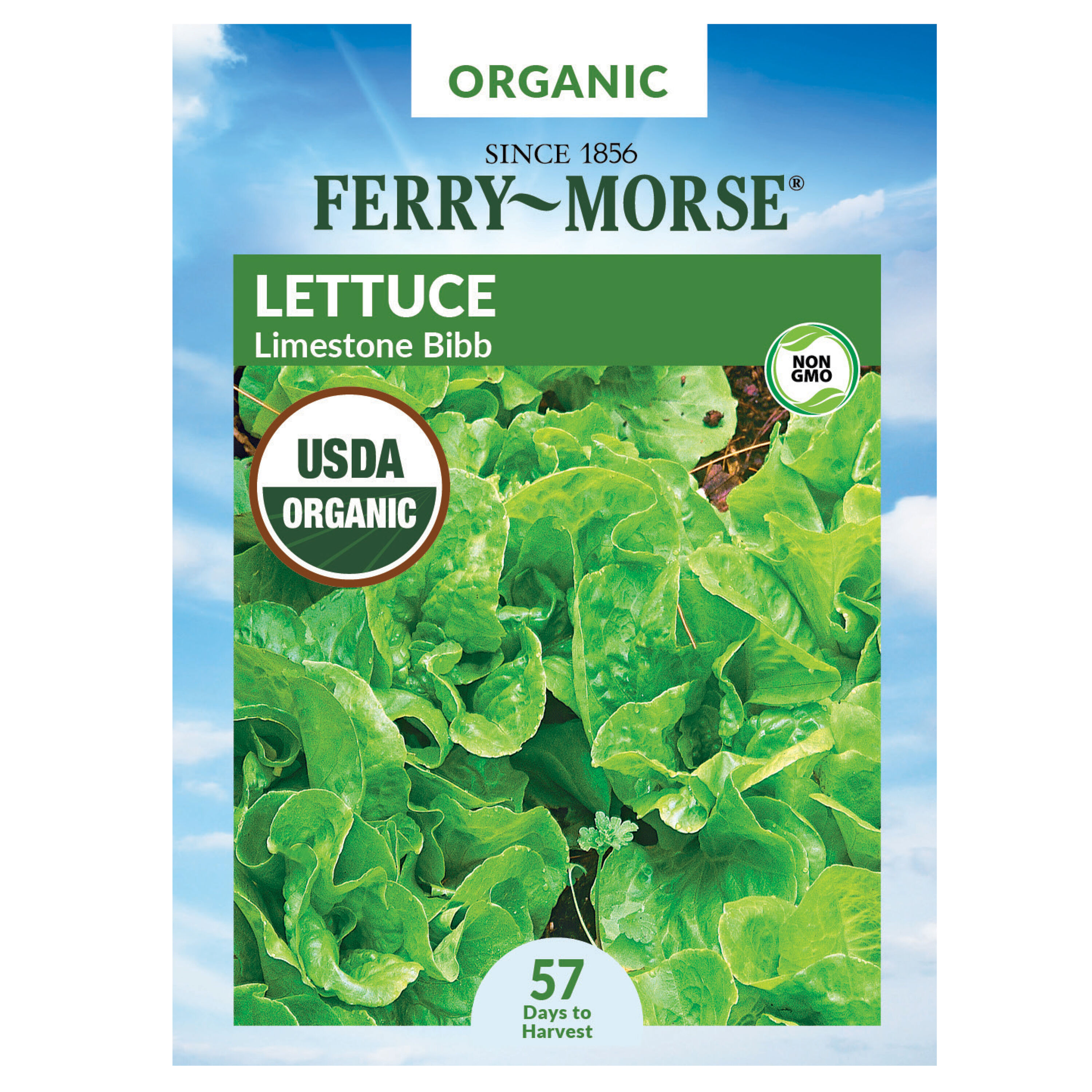 Ferry-Morse 913993.299.643876 Organic Lettuce Bibb Organic Vegetable Seeds 0.7 Gram(s)