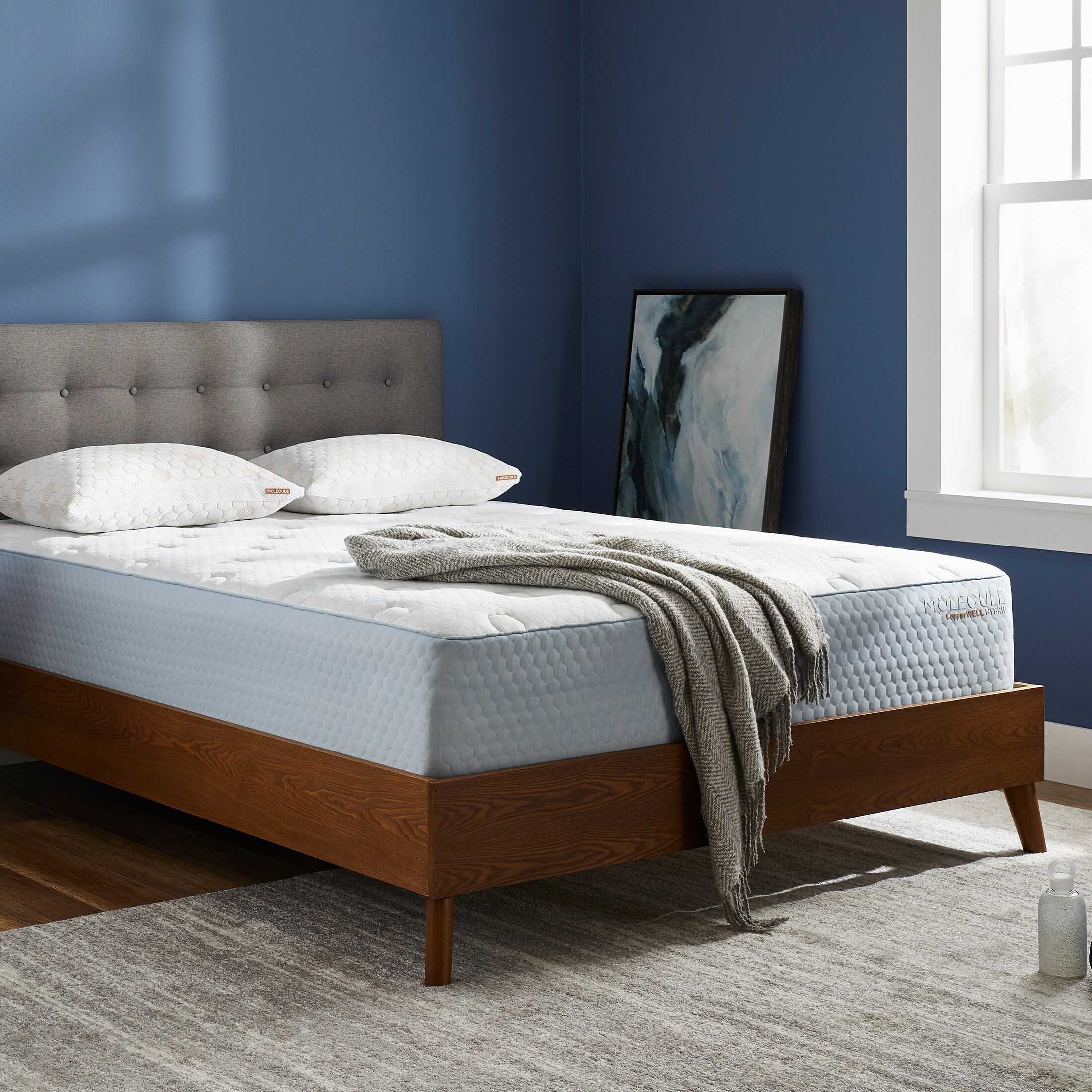 Molecule 3073529 Mattresses-Boxsprings - View #2
