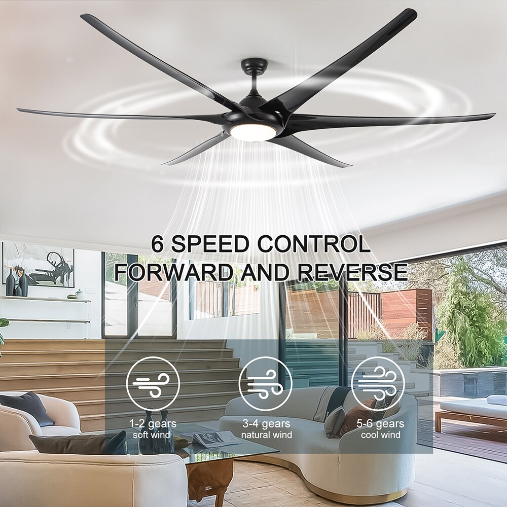 Sunrinx MG37-1-CF-29 Ceiling-Fans - View #13