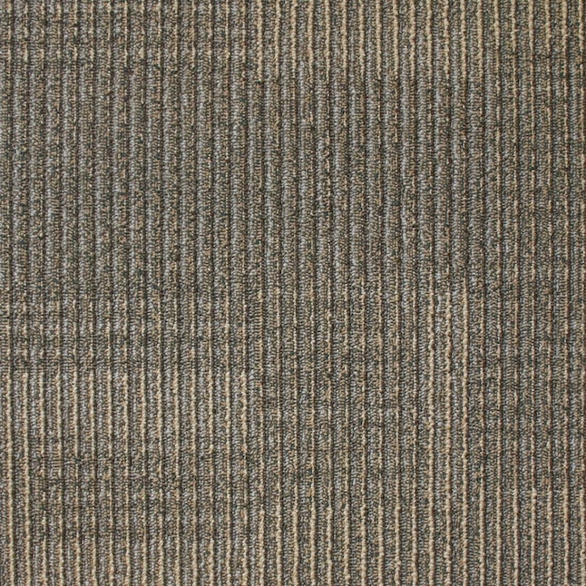Kraus Sample Home Office Ilrious Berber Loop Interior Carpet At Lowes Com