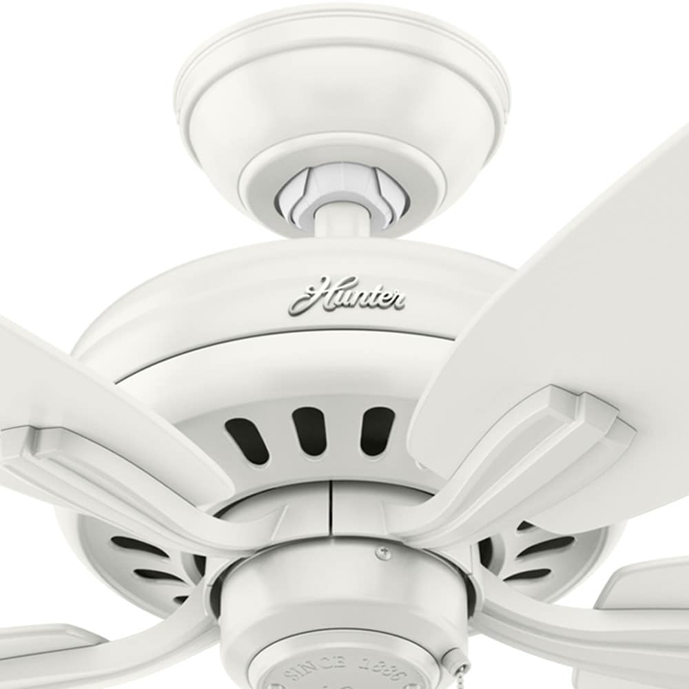Hunter 53319 Ceiling-Fans - View #11