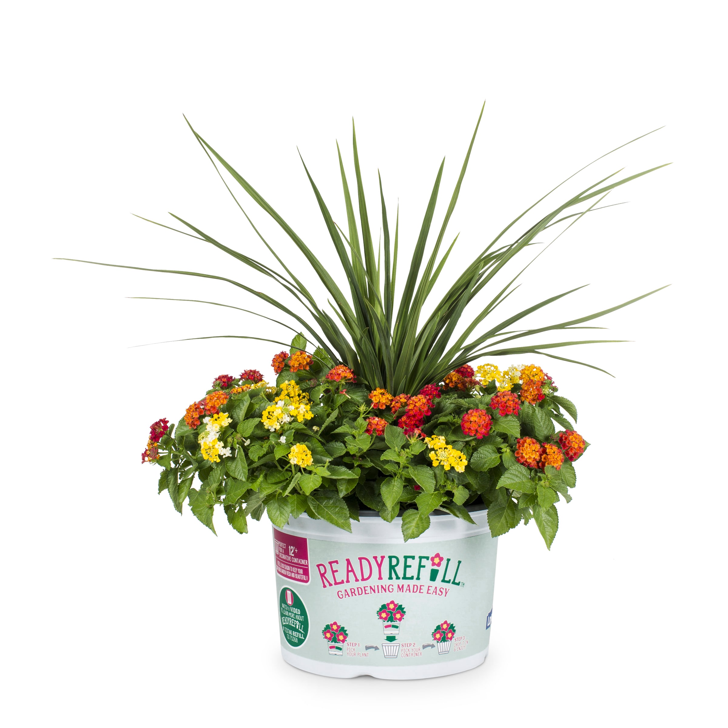 Ready Refill NURSERY Multicolor Sunpatiens in 2.5-Gallon Pot