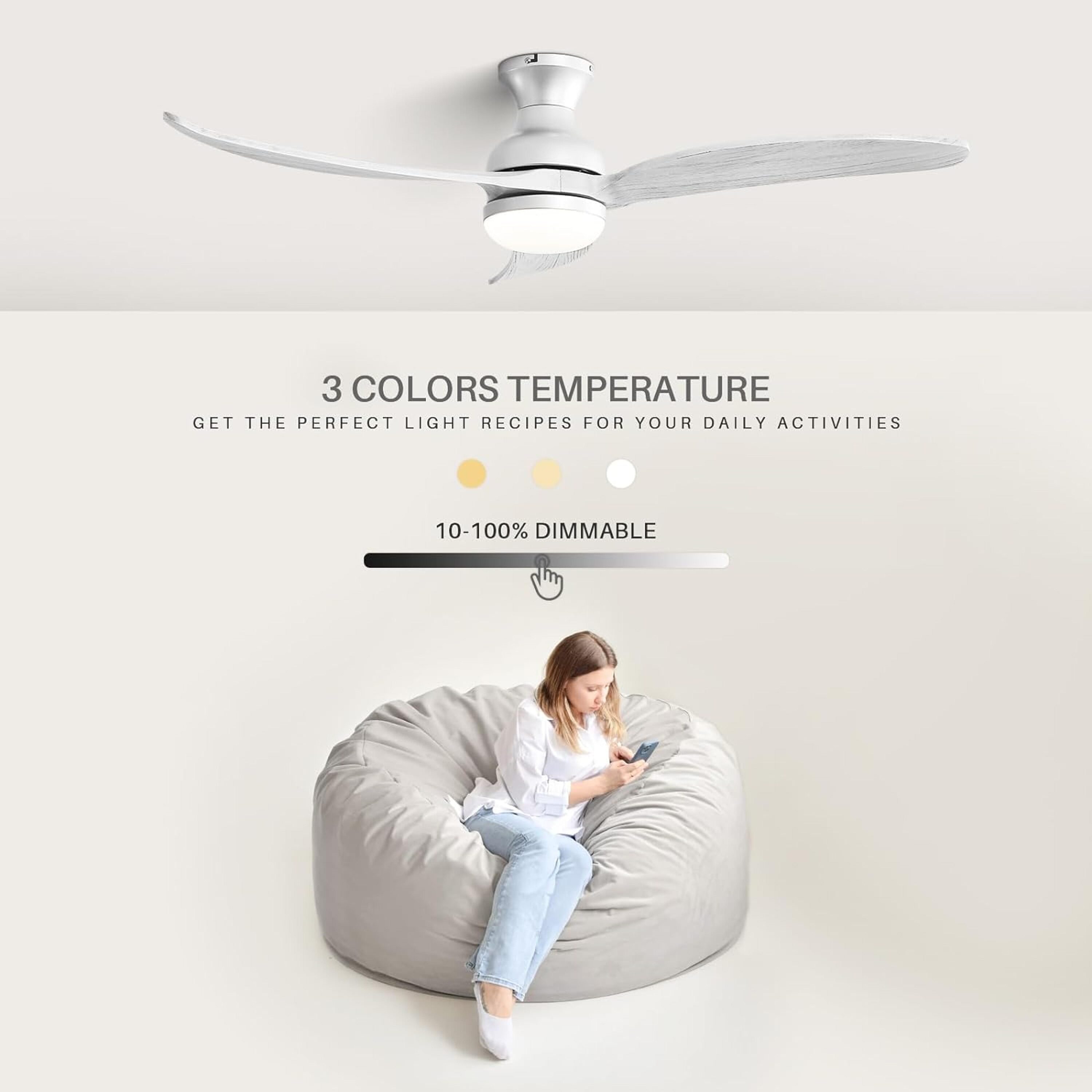 Bayfeve BFSBL-W11A3639937 Ceiling-Fans - View #6