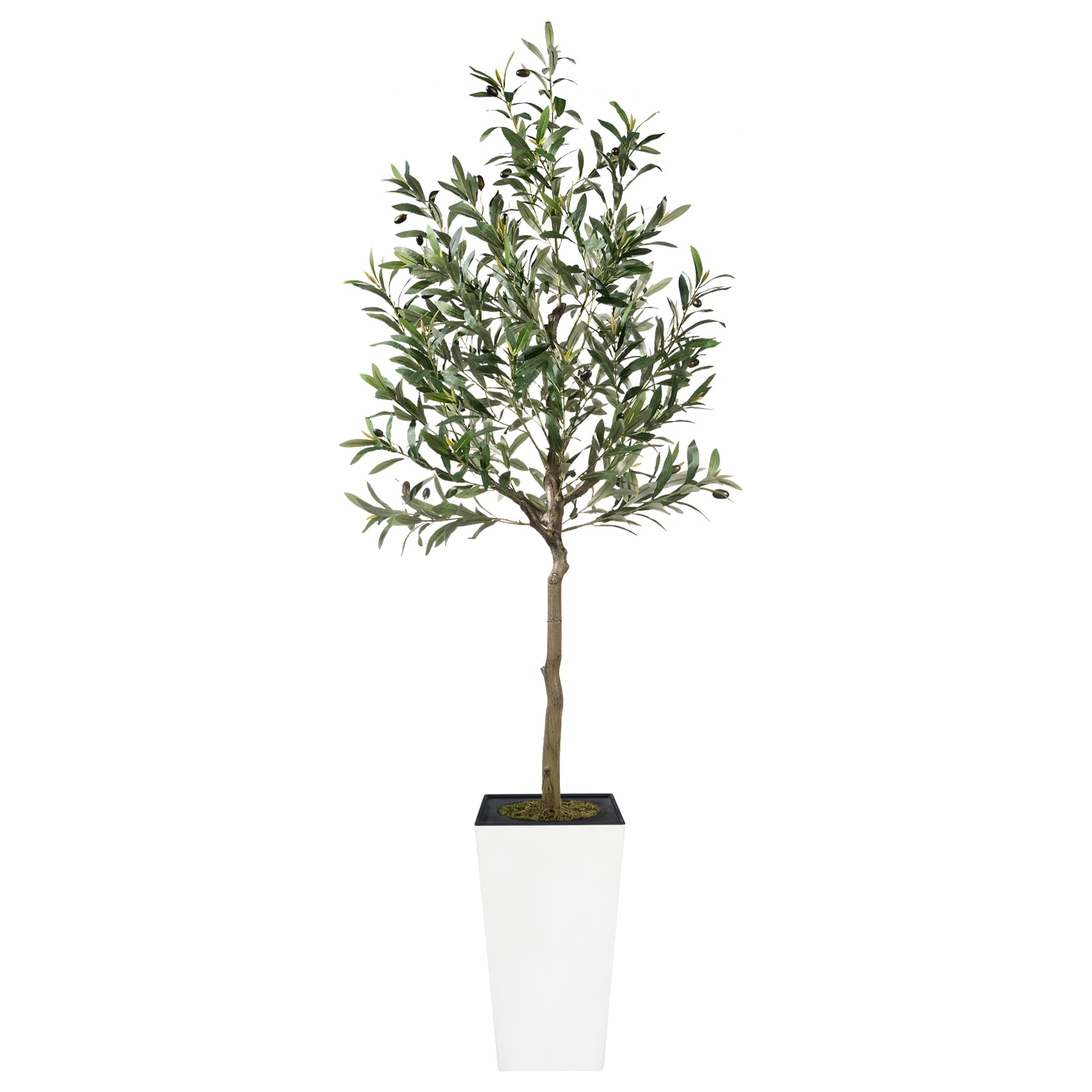 Vitalismo - 74-in Green Indoor/Outdoor Floor Olive Artificial Tree in White Planter Faux Green Pl...