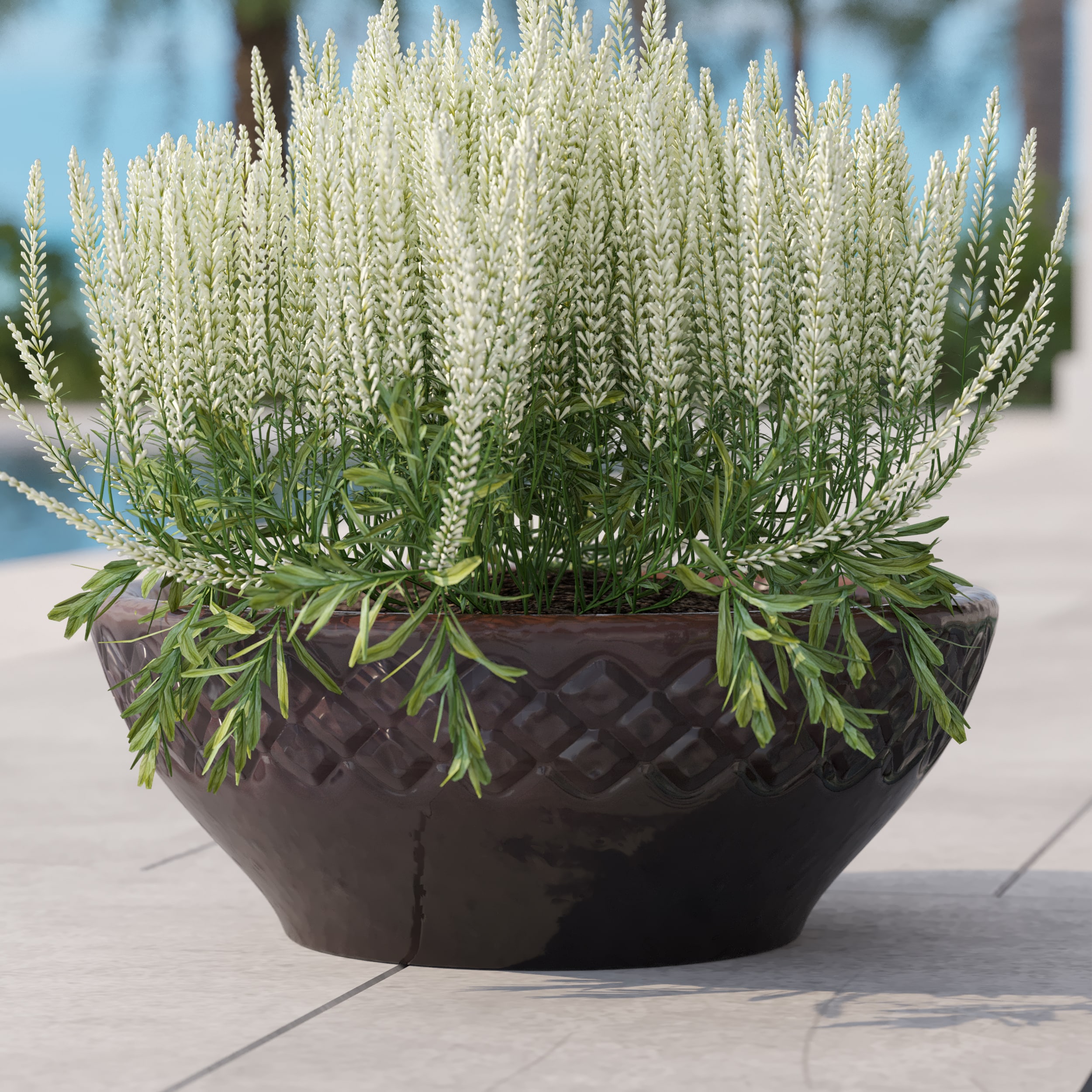 allen + roth GO2025-49 Planter-Window-Box - View #3