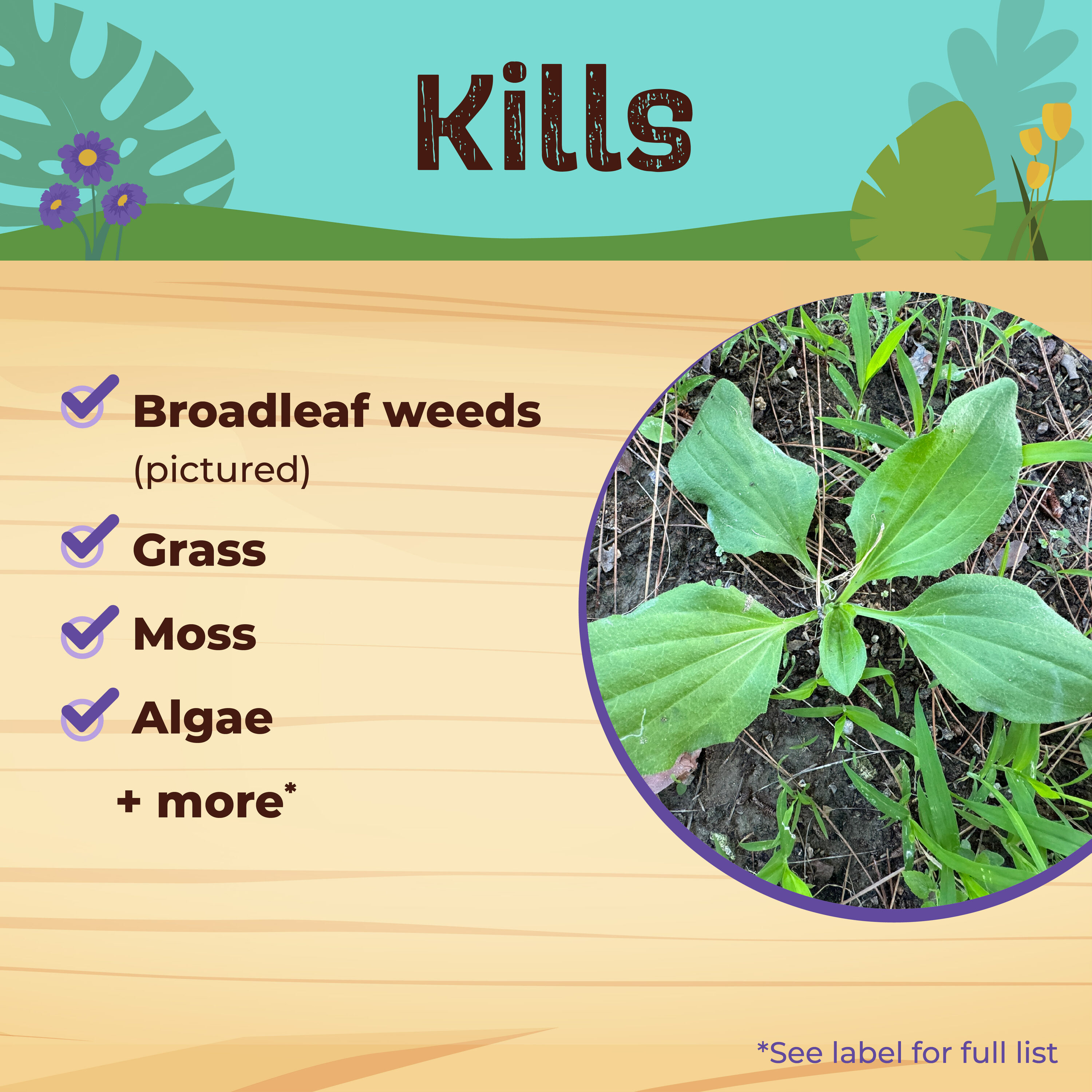 Bonide 2603 Weed-Killers - View #3