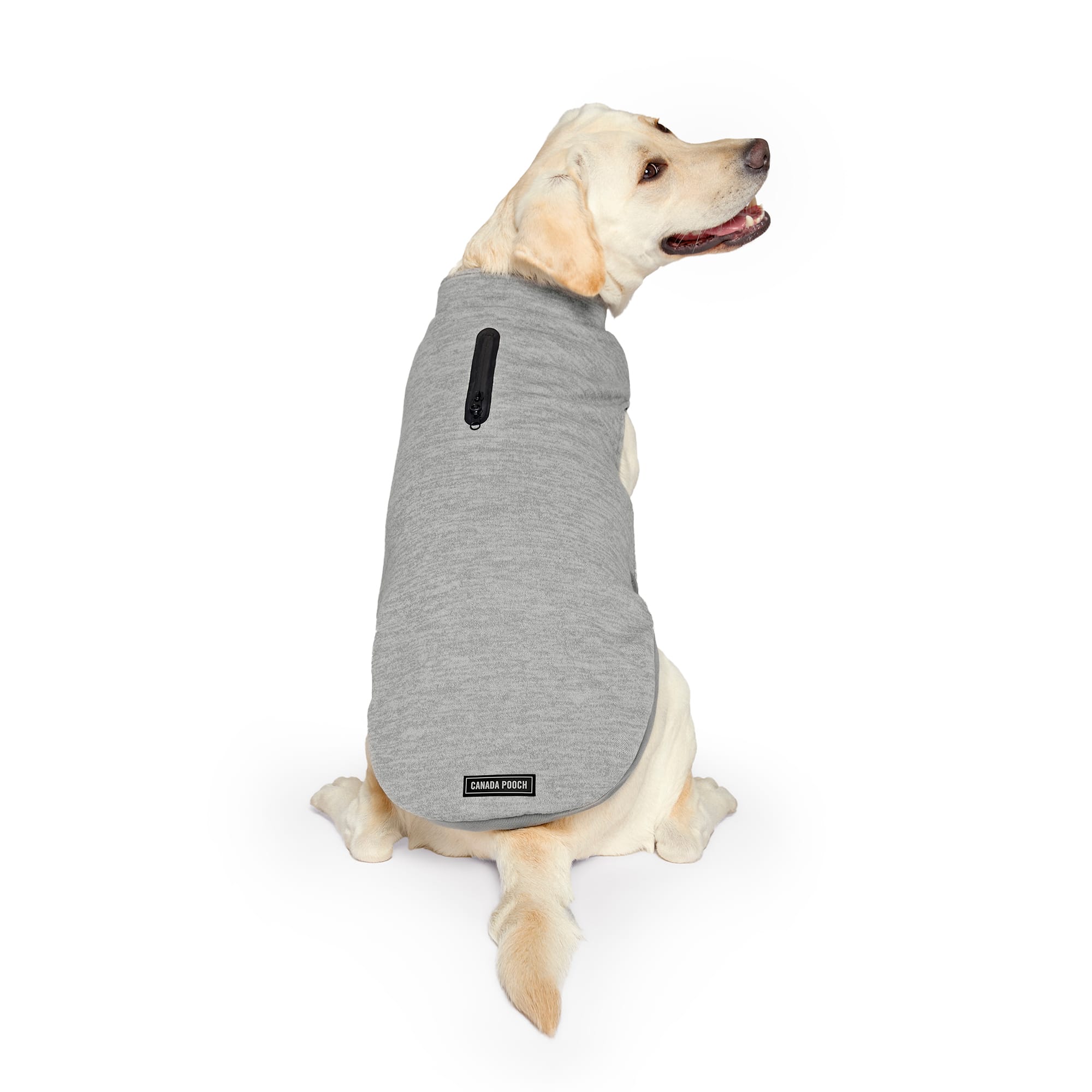 Canada Pooch 12920  - View #2