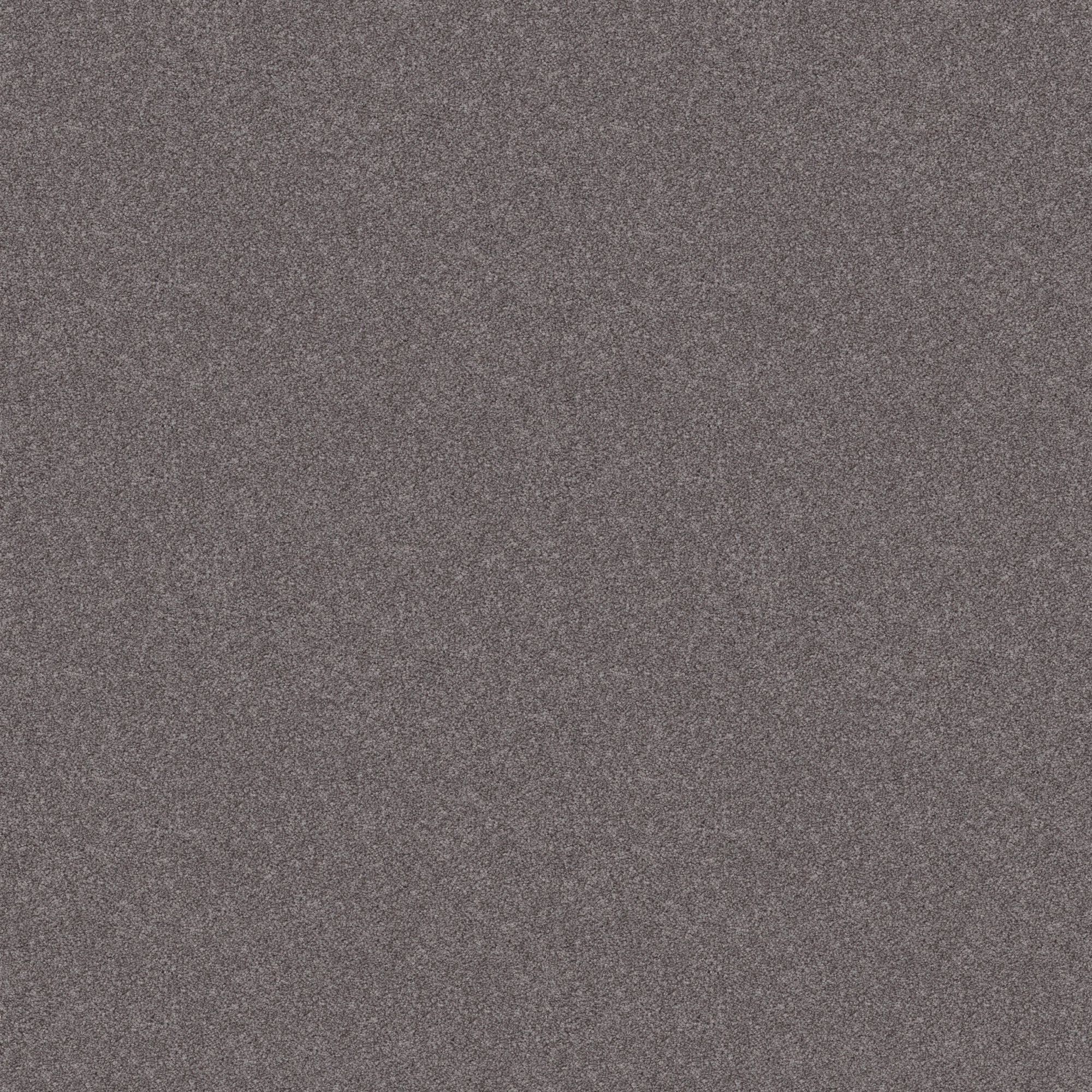 STAINMASTER 7L908 - 902 - SAMP (Sample) Paws Down III Deep Connection Gray 58.5-oz sq yard Nylon Textured Indoor Carpet