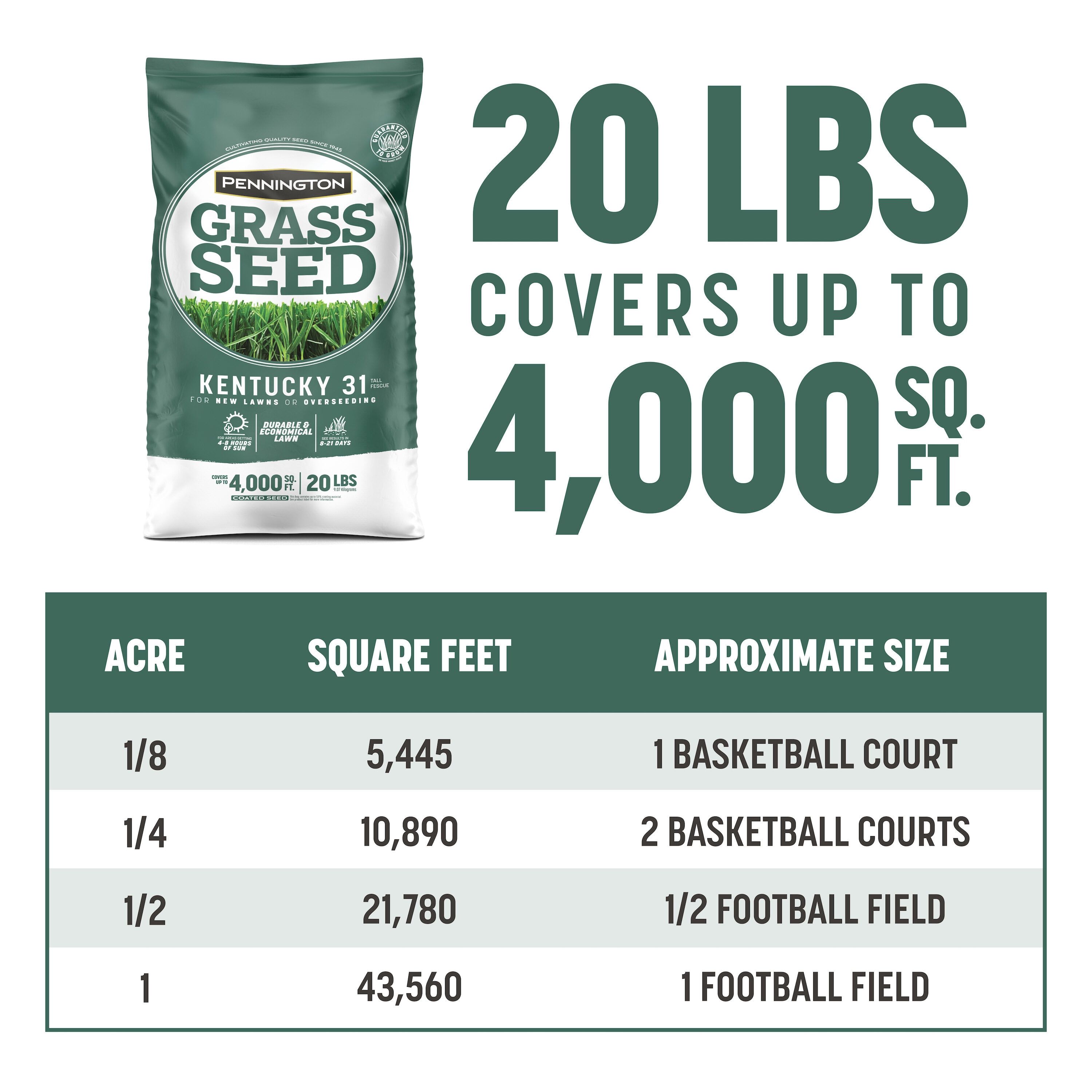 Pennington 2149602260 Grass-Seed - View #4