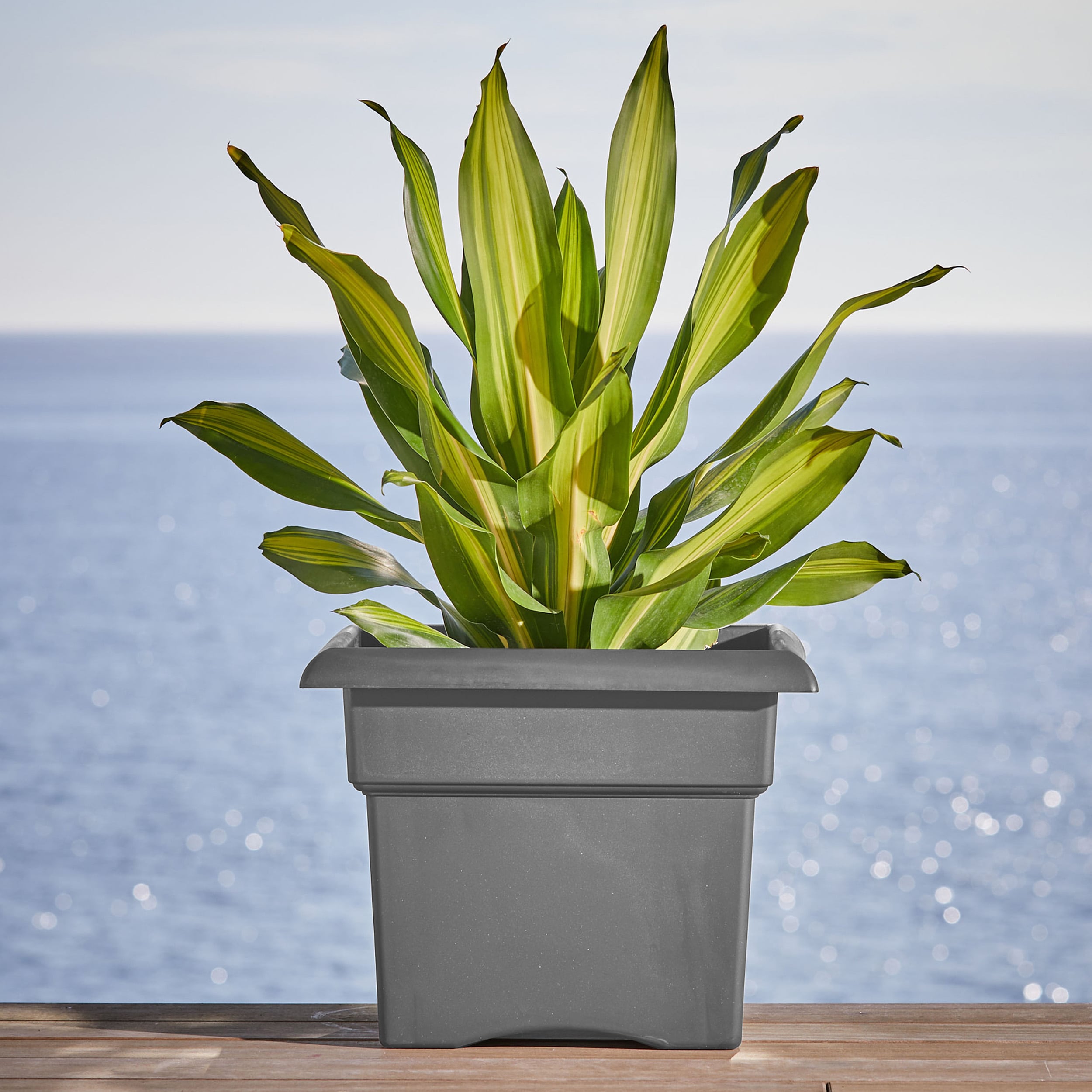 Bloem VER14908-OS Planter-Window-Box - View #2