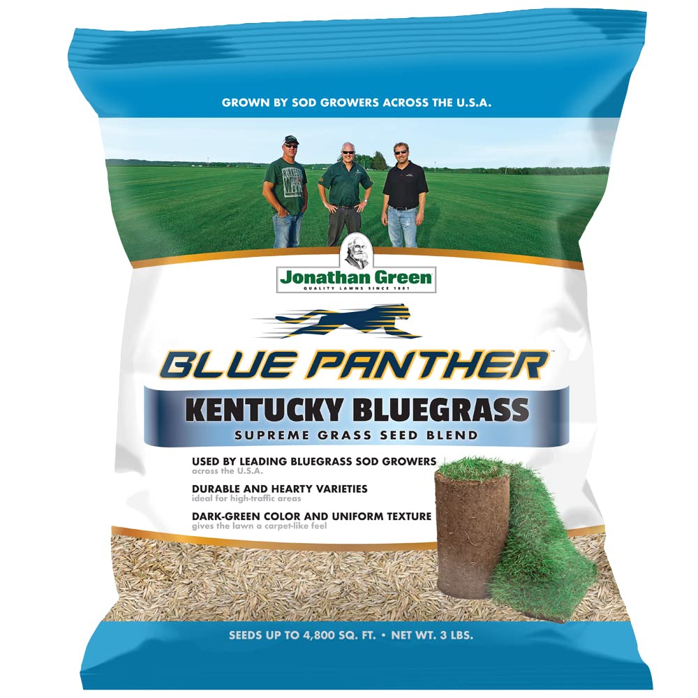 Kentucky Bluegrass Grass Seed for Lawns | Lowe's