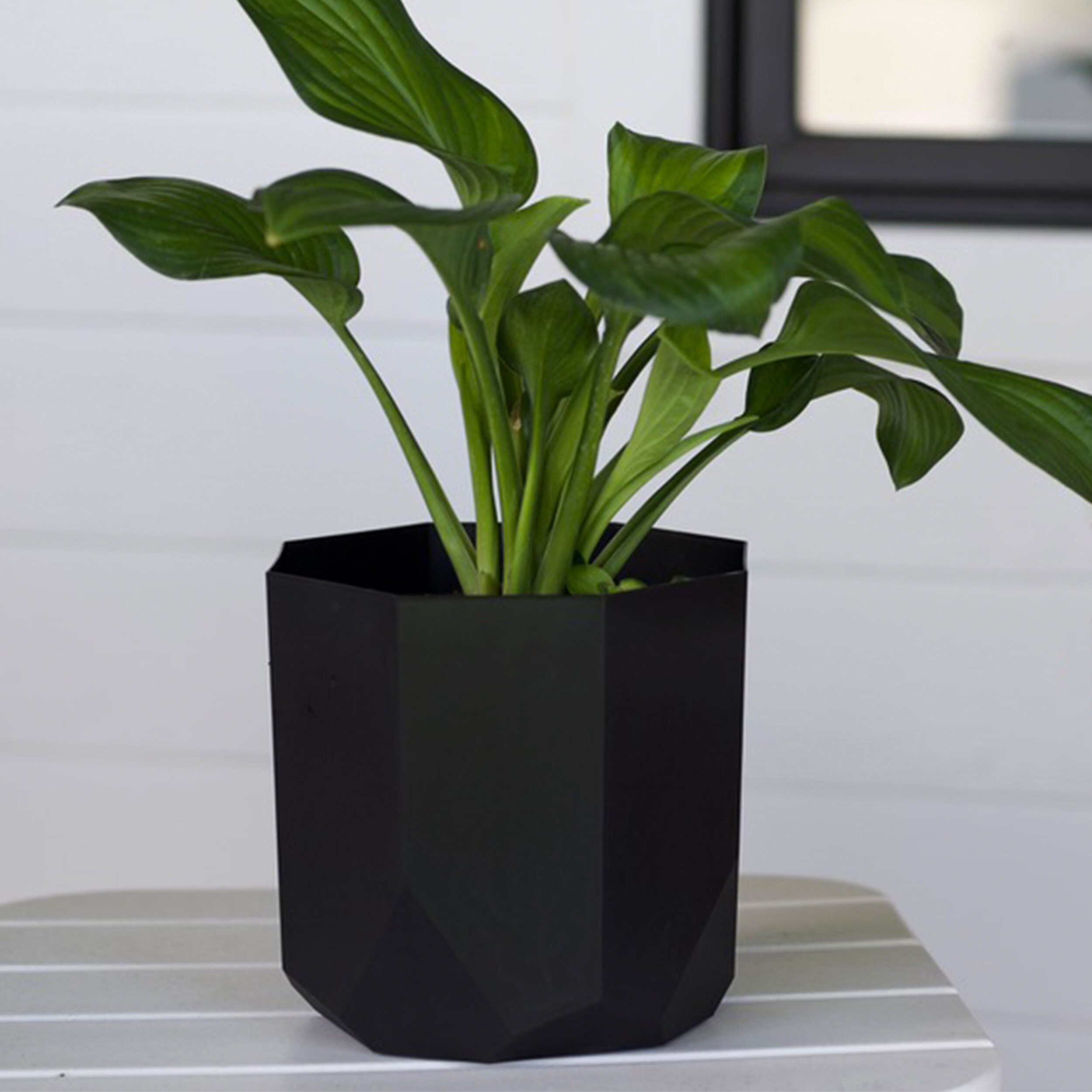 Bloem DCB-TUXMIX3 Planter-Window-Box - View #6