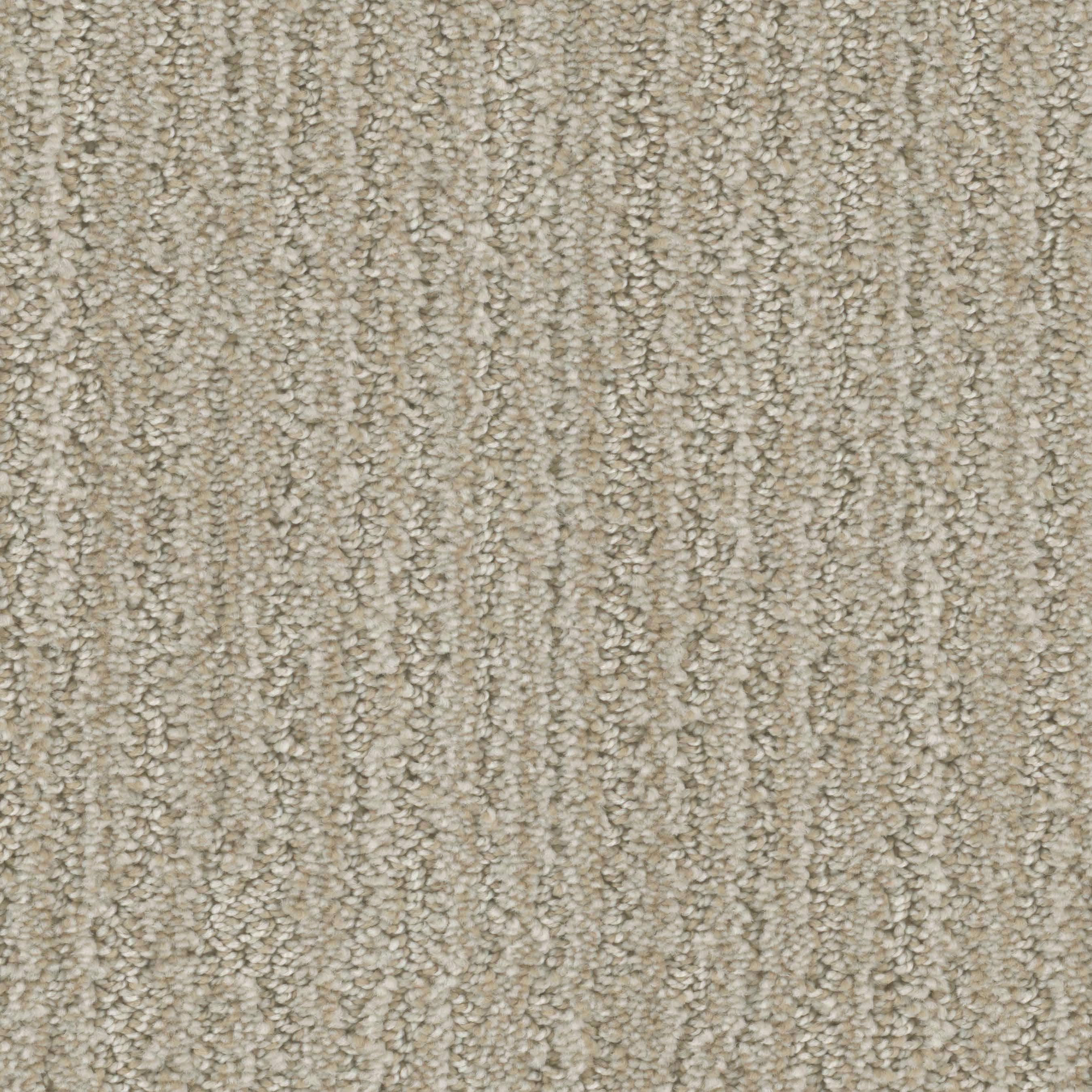 STAINMASTER S9234-921-S (Sample) Signature Symphony Blending Pattern Carpet