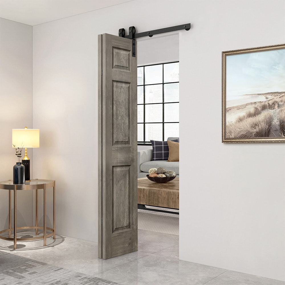 CALHOME 1100-2-S+6P-36-EBSC Barn-Doors - View #2