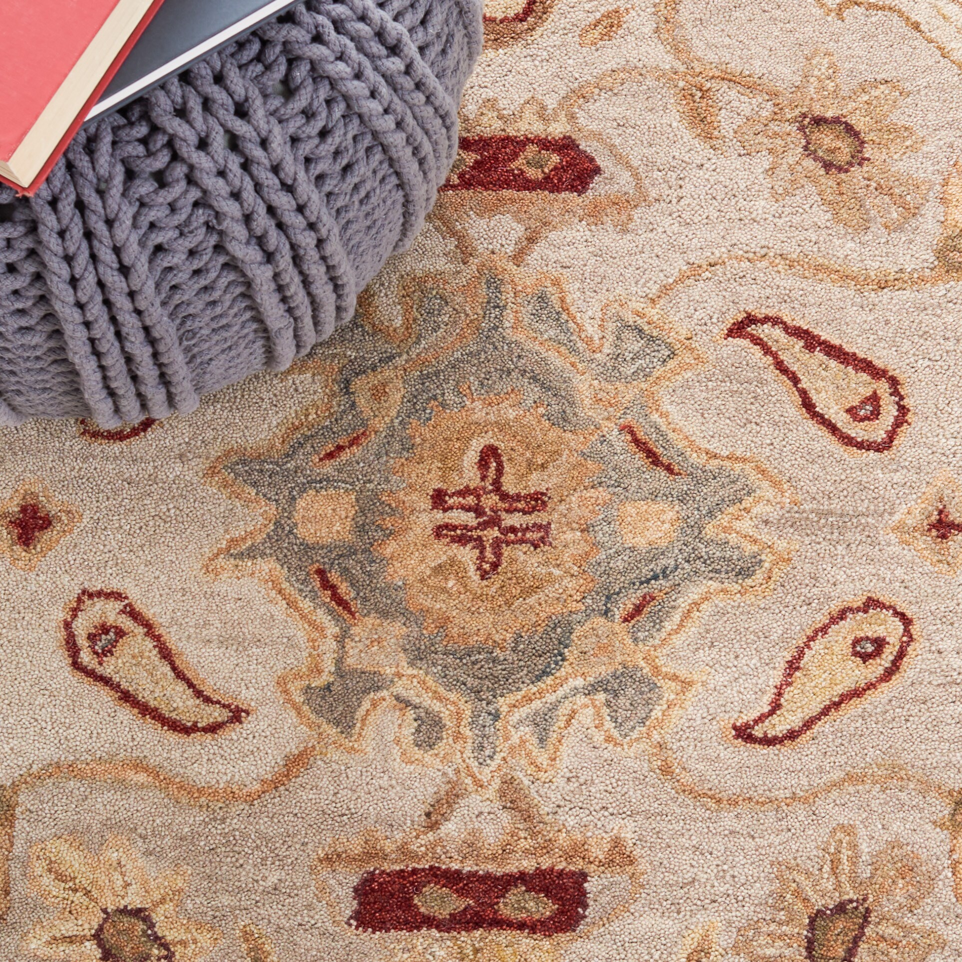 Safavieh AN543C-212 rugs - View #5