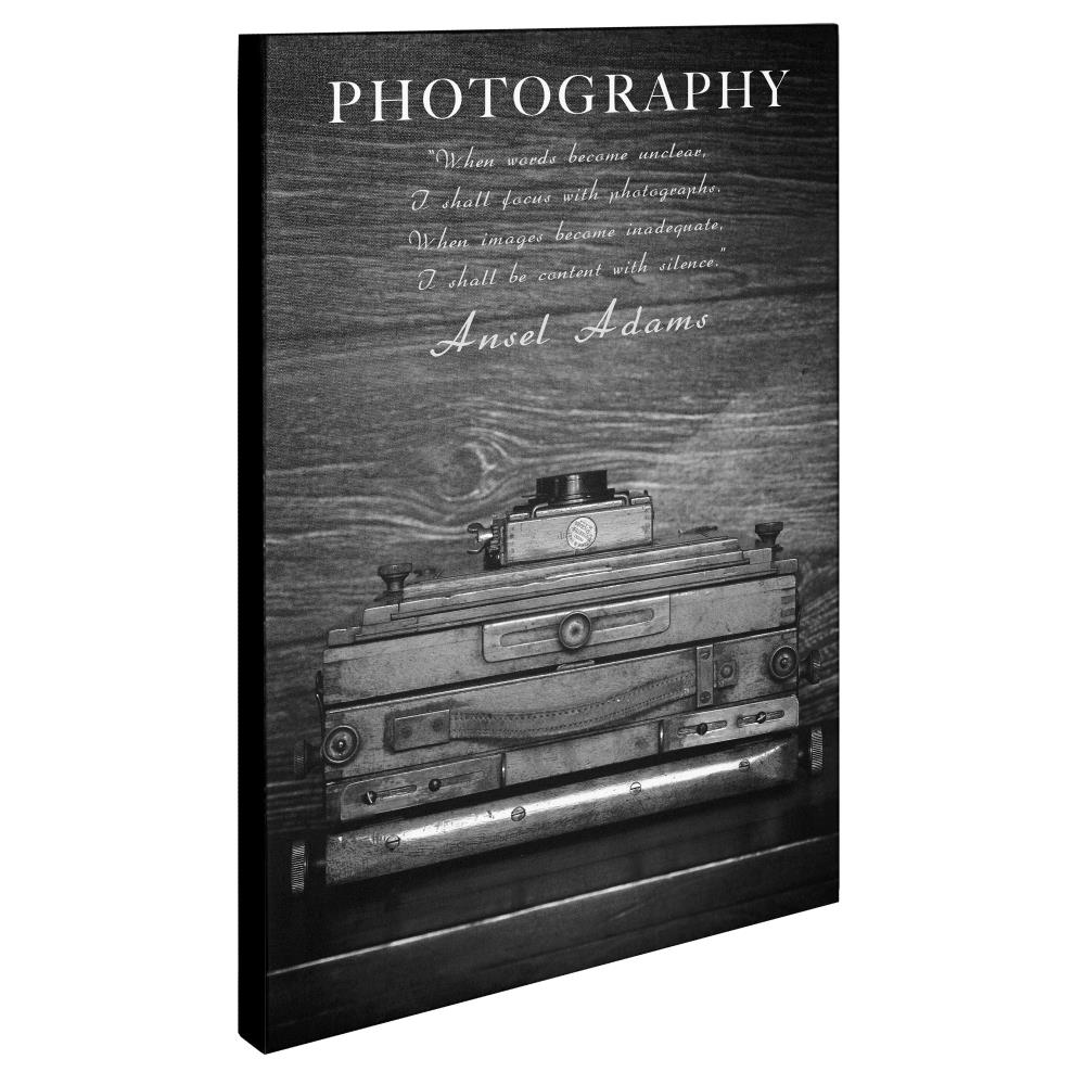 Trademark Fine Art PSL0170-C1624GG Wall-Art - View #2