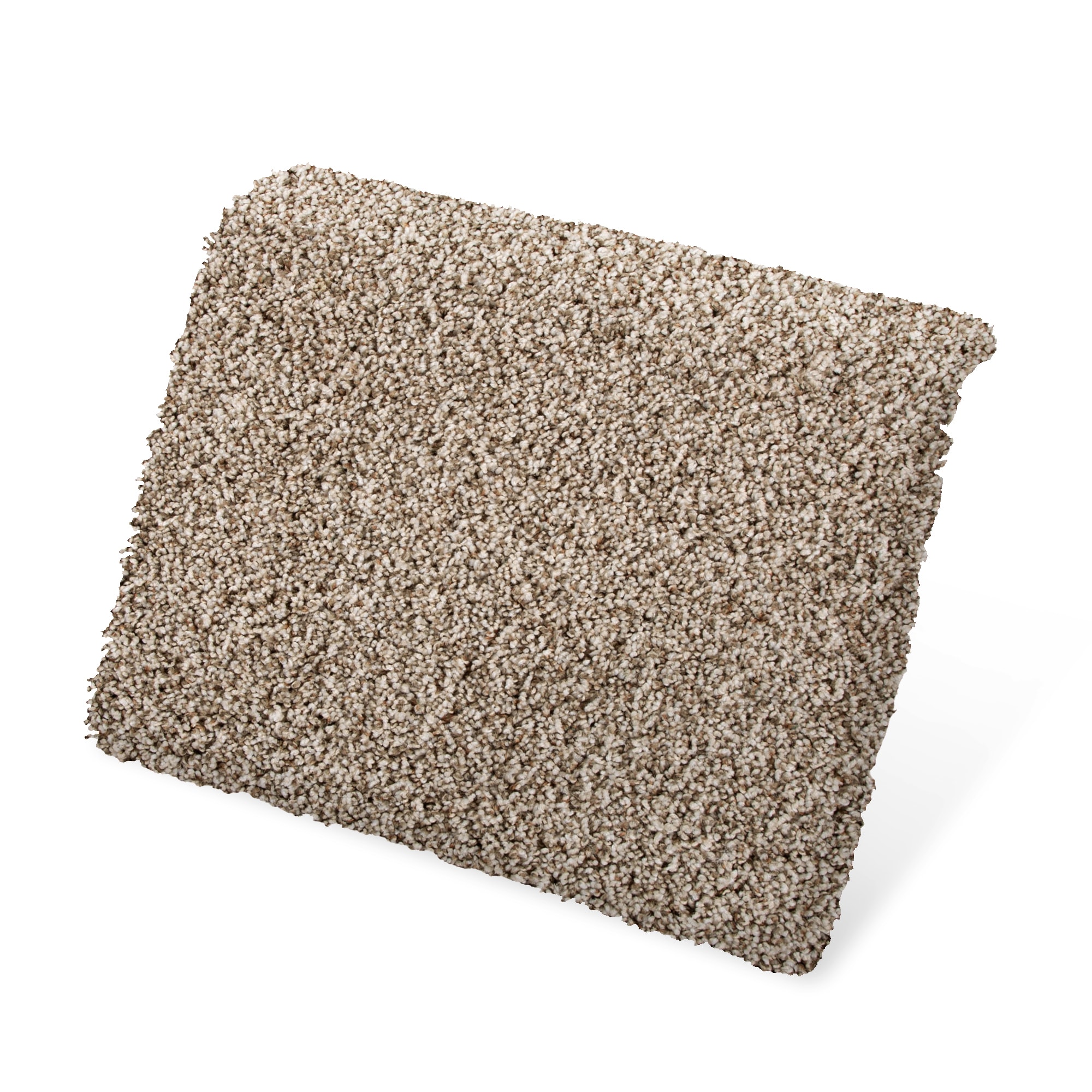 Style Selections SS050-L003-S0808 Carpet-Samples - View #3