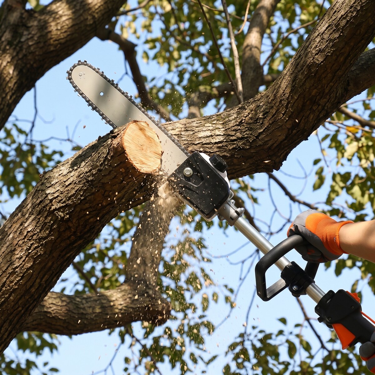 Loheer W46558448 Cordless-Hedge-Trimmers - View #3