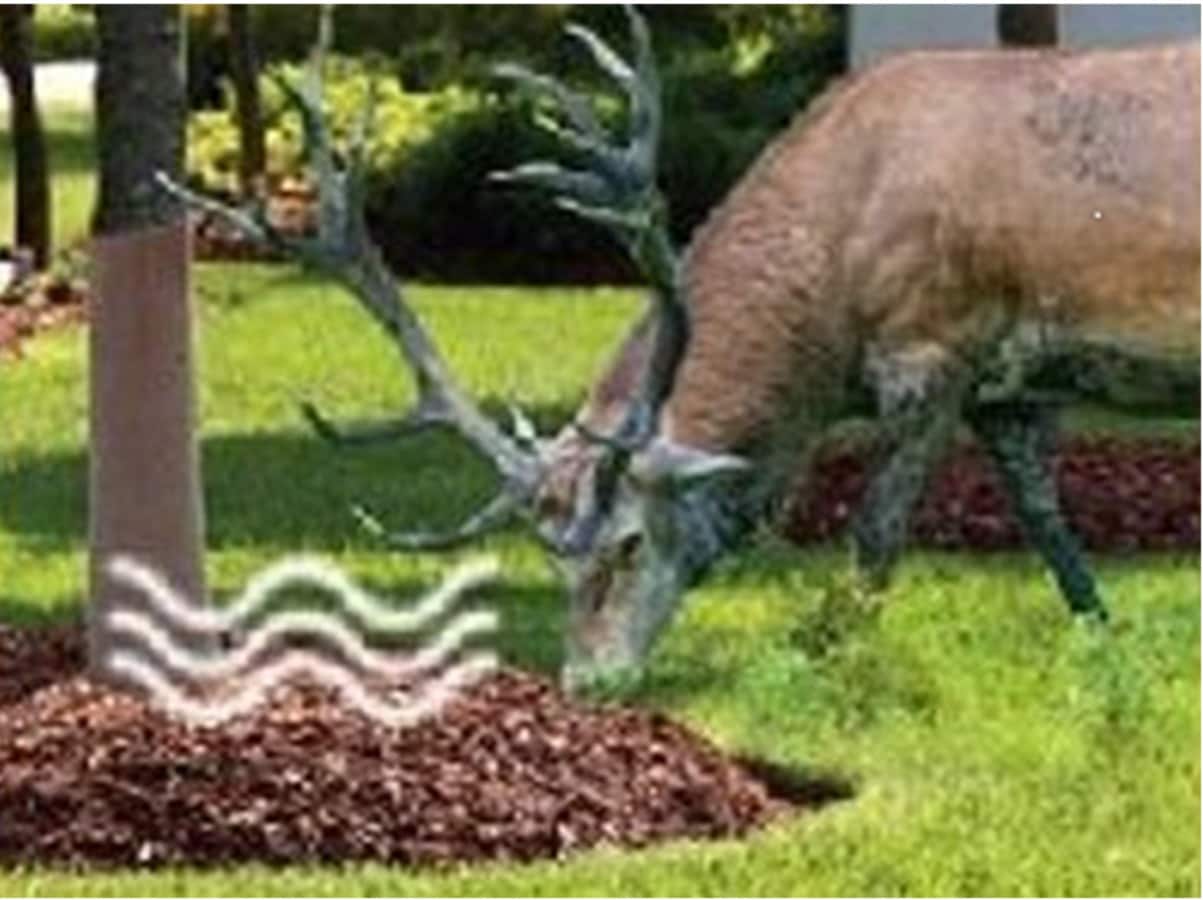 Tree Armor TA-101P-4 Animal-Rodent-Control - View #3